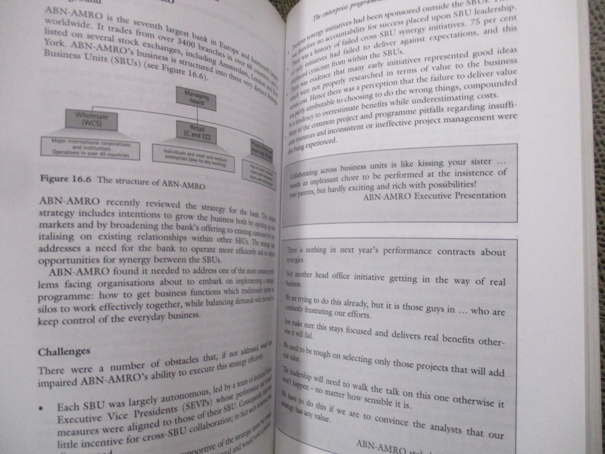 Enterprise Programme Management: Delivering Value / David Williams , Tim Parr / การเพิ่มประสิทธิภภาพในองค์กร