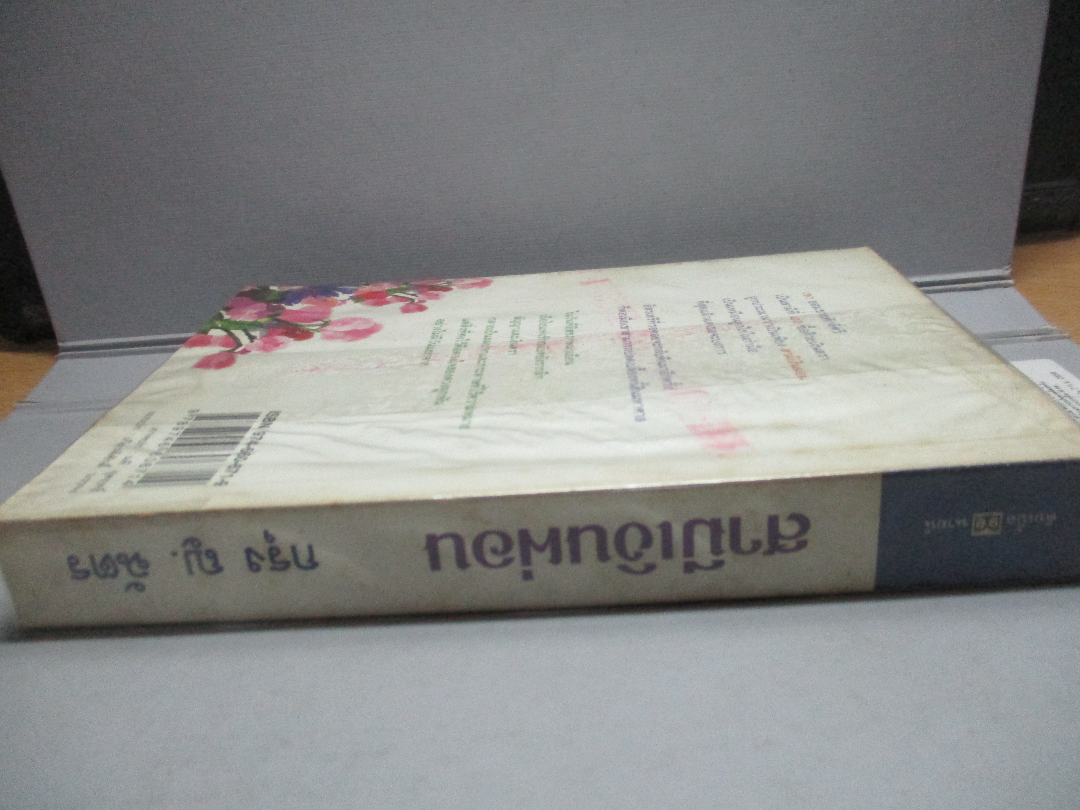 สามีเงินผ่อน โดย กรุง ญ. ฉัตร