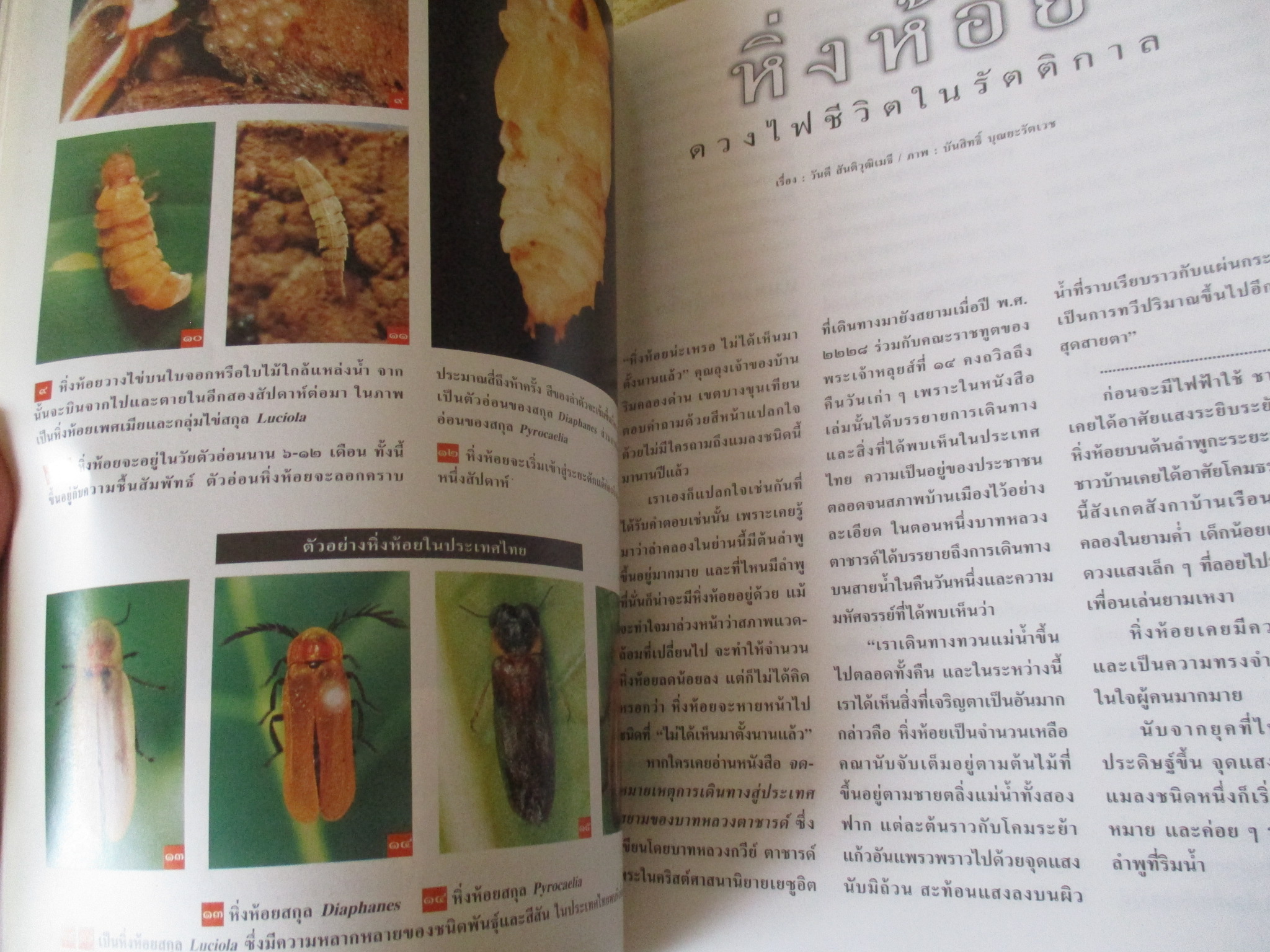 นิตยสารสารคดี ฉบับที่165 พฤศจิกายน 2541;เอเชี่ยนเกมส์ครั้งที่13,หิ่งห้อย,อาหารเพื่อสุขภาพ,25ปี14ตุลา16