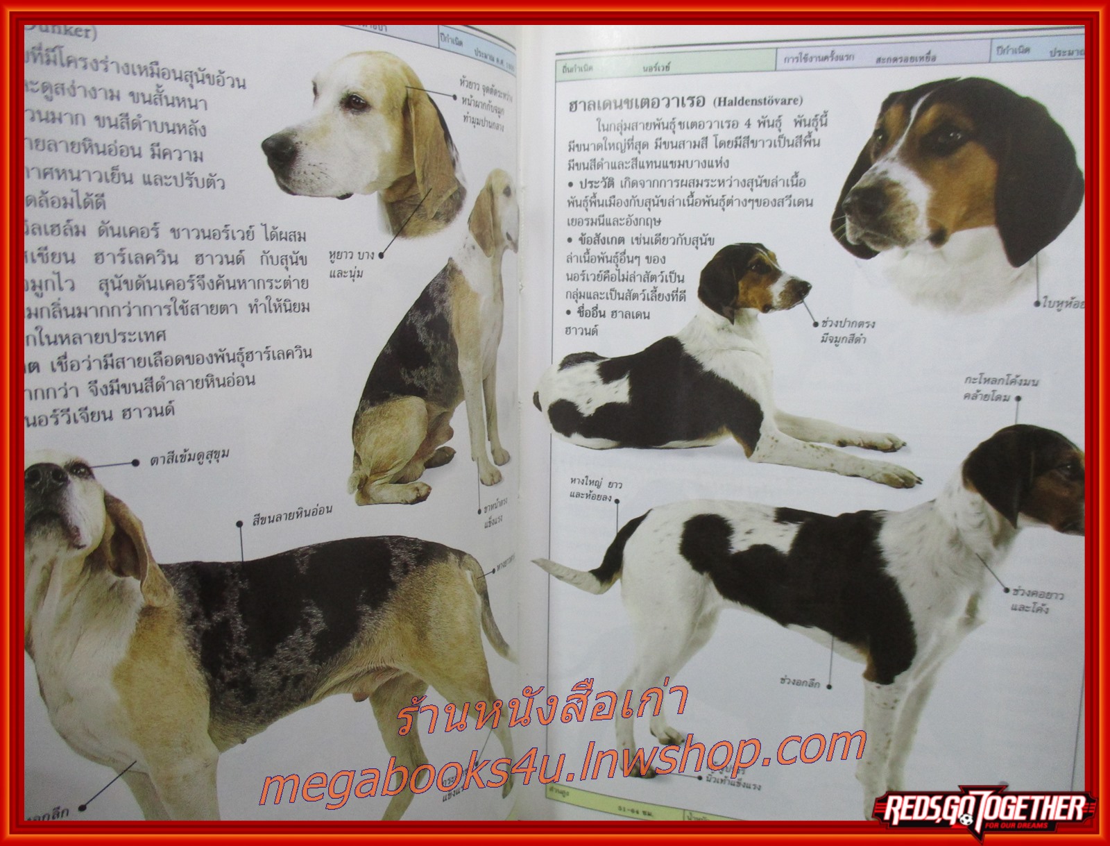 สุนัข คู่มือแนะนำสุนัขพันธุ์ต่างๆมากกว่า300 พันธุ์จากทั่วโลก / David Alderton