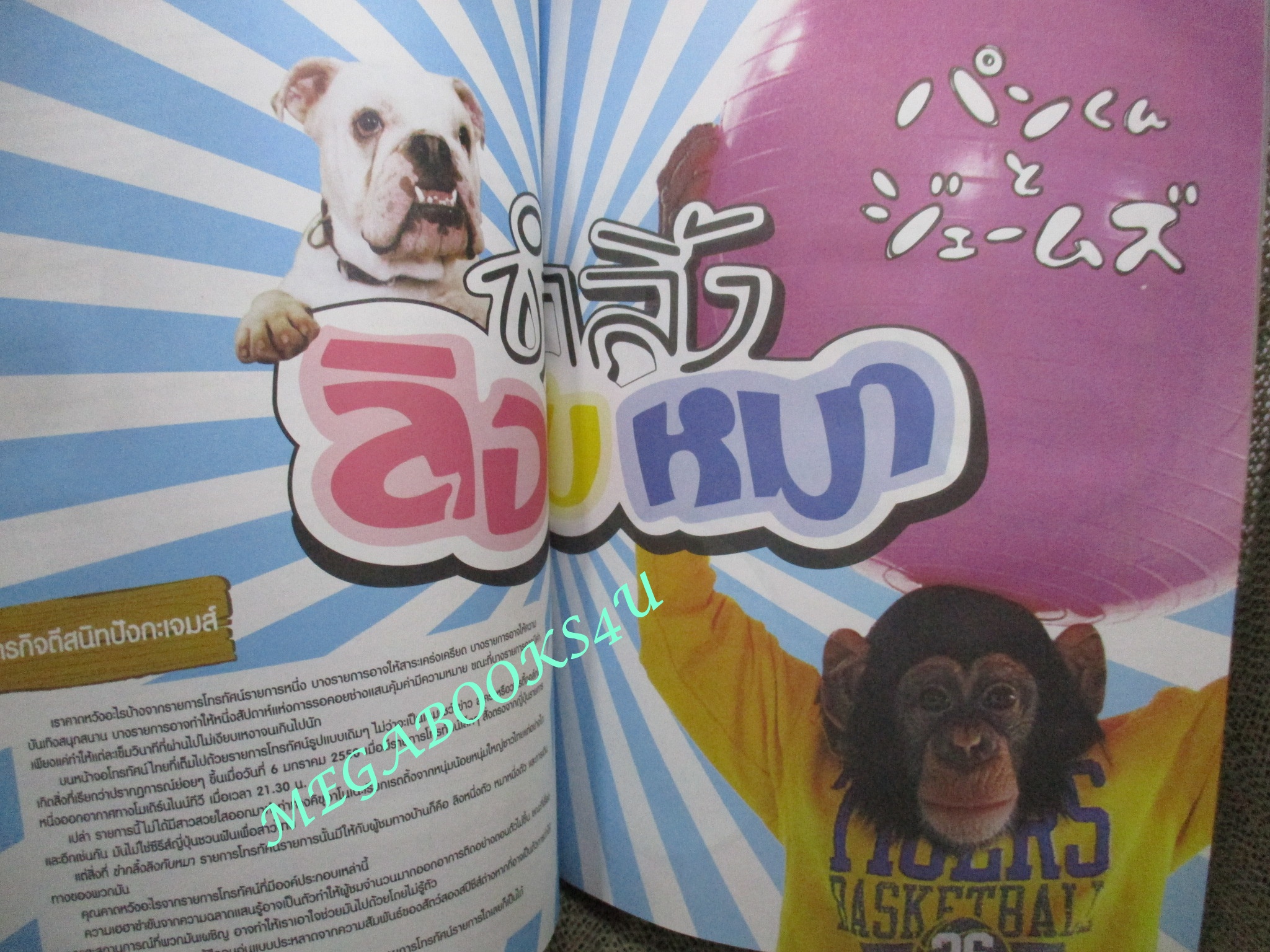 นิตยสารA DAY ฉบับที่080 ปกปังคุงกับเจมส์