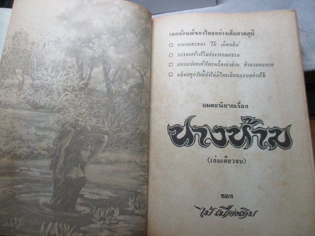 นางห้าม โดย ไม้เมืองเดิม