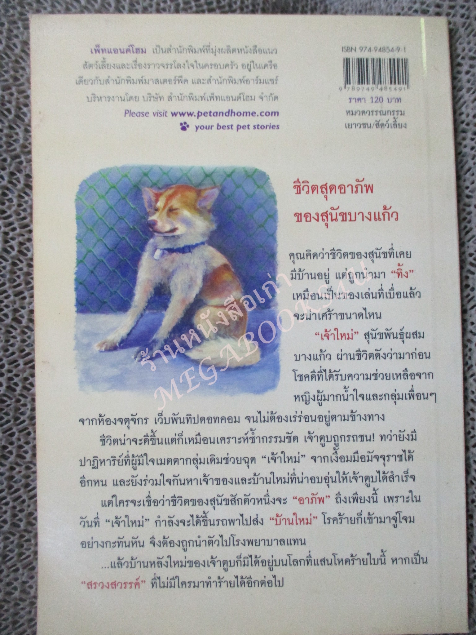 เจ้าใหม่ บางแก้วผู้อาภัพ ผู้เขียน กาเซโบ ภาพประกอบ ชมพูนุท ศรีพินิจ / หนังสือบ้าน สภาพดี กระดาษมีจุดเหลืองประปราย