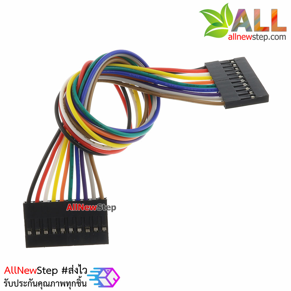 Jumper Wire 10P Female to Female สายไฟจัมเปอร์ เมีย-เมีย 10 เส้น ยาว 20cm