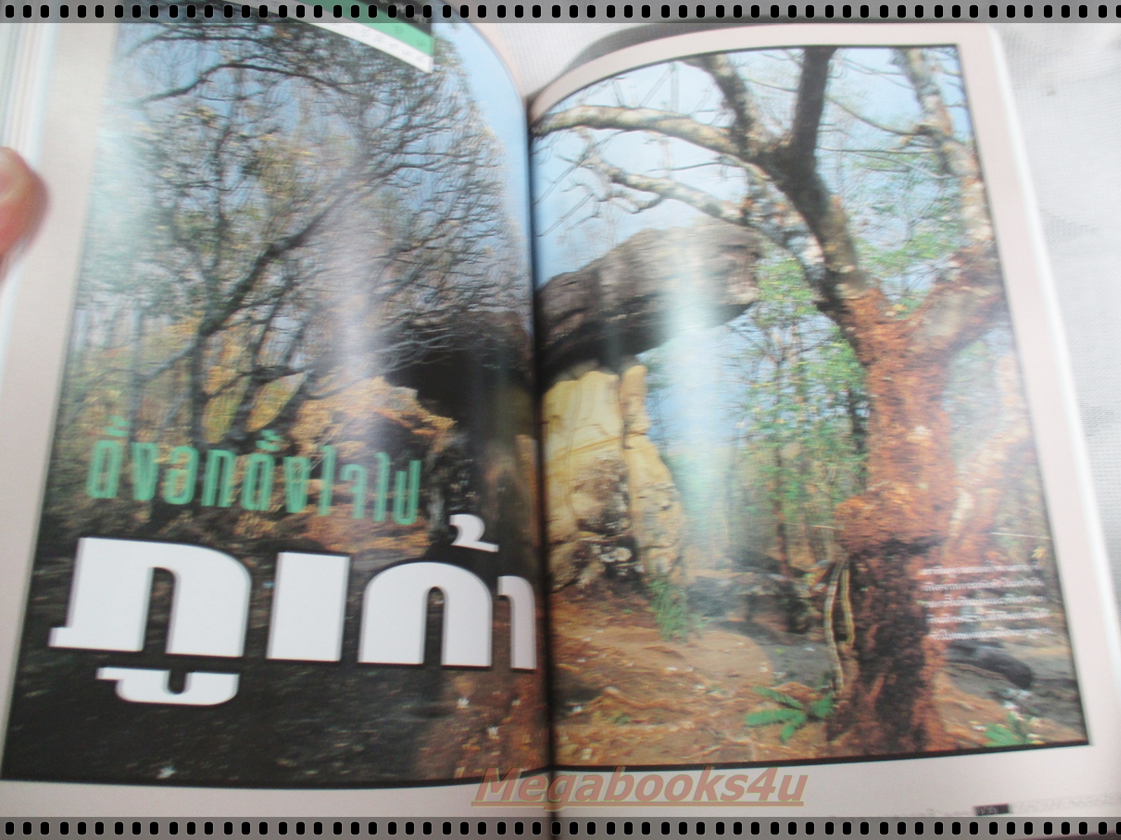 นิตยสารสารคดี ฉบับที่136 มิถุนายน 2539 กวางผา,กริช,ชีวิตในกัมพูชา,เที่ยวหนองบัวลำพู,