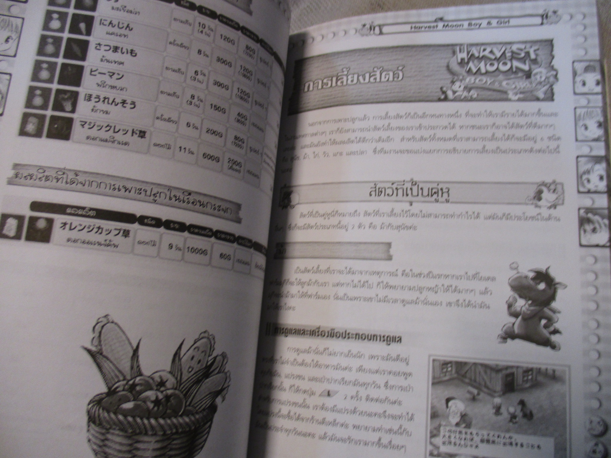 คู่มือเฉลยเกมส์ HARVEST MOON BOY & GIRL