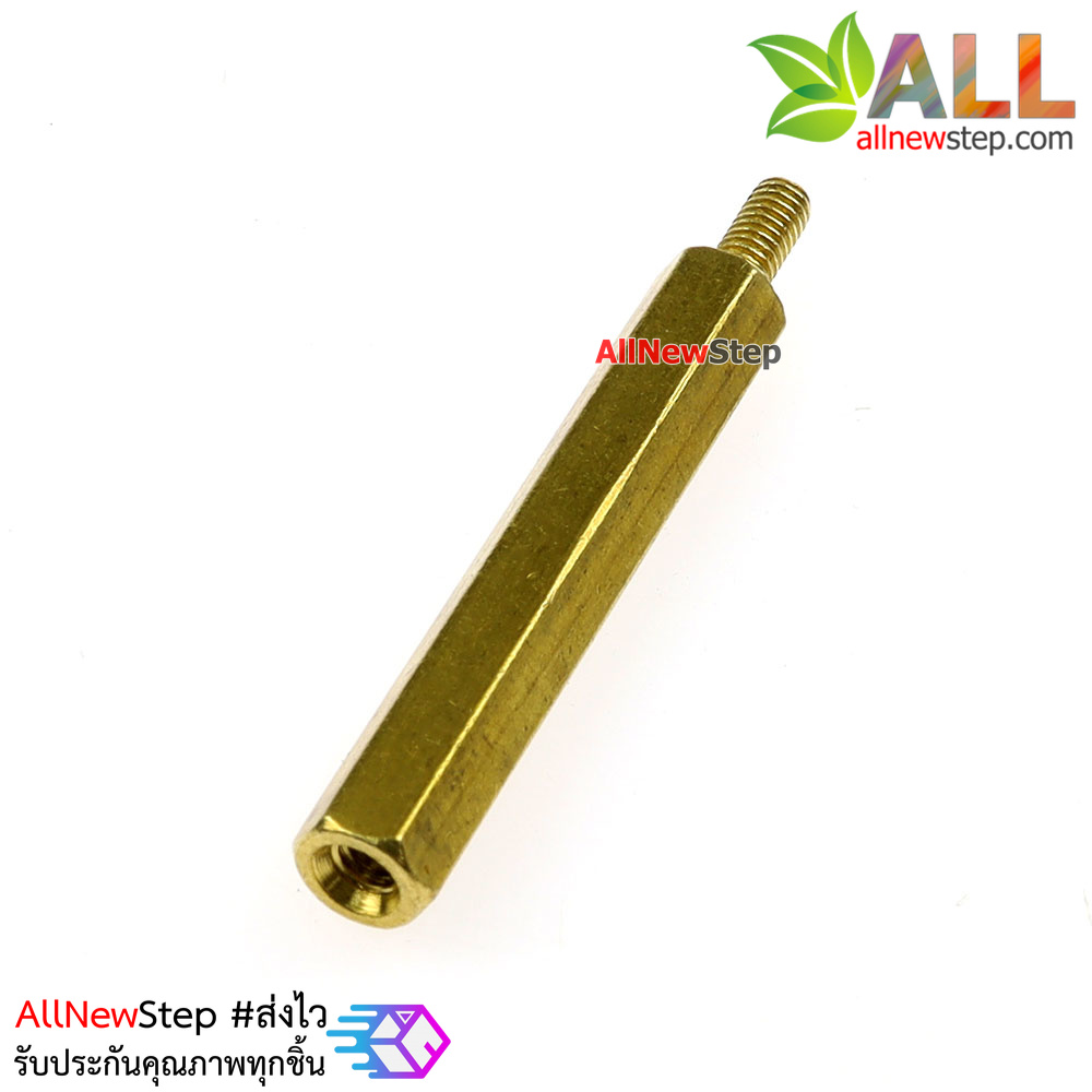 Nut screw m2.5 น็อตสกรู M2.5 ขนาด 30+6mm