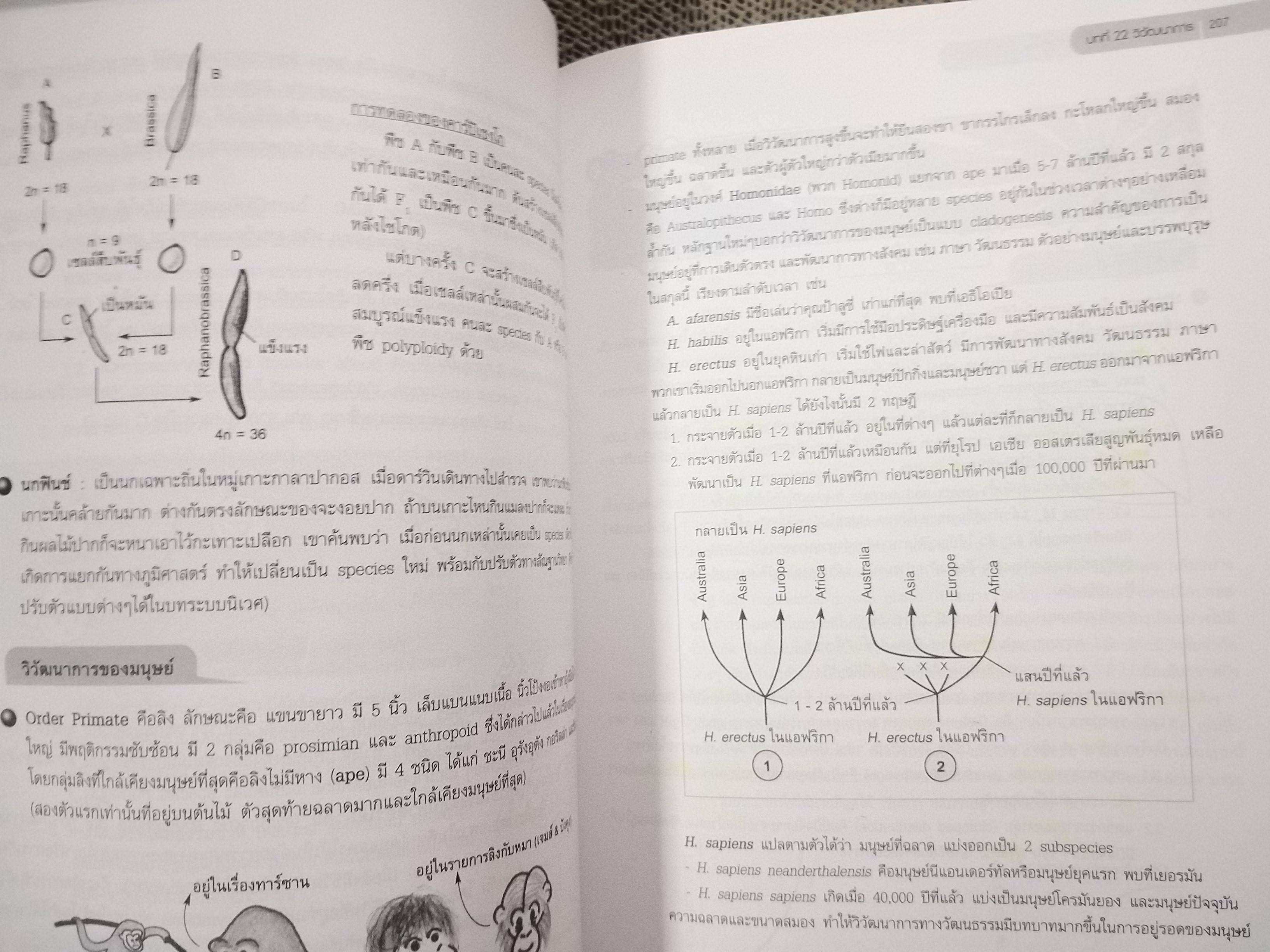 ชีววิทยา Biology for high school students / จิรัสย์ เจนพาณิชย์