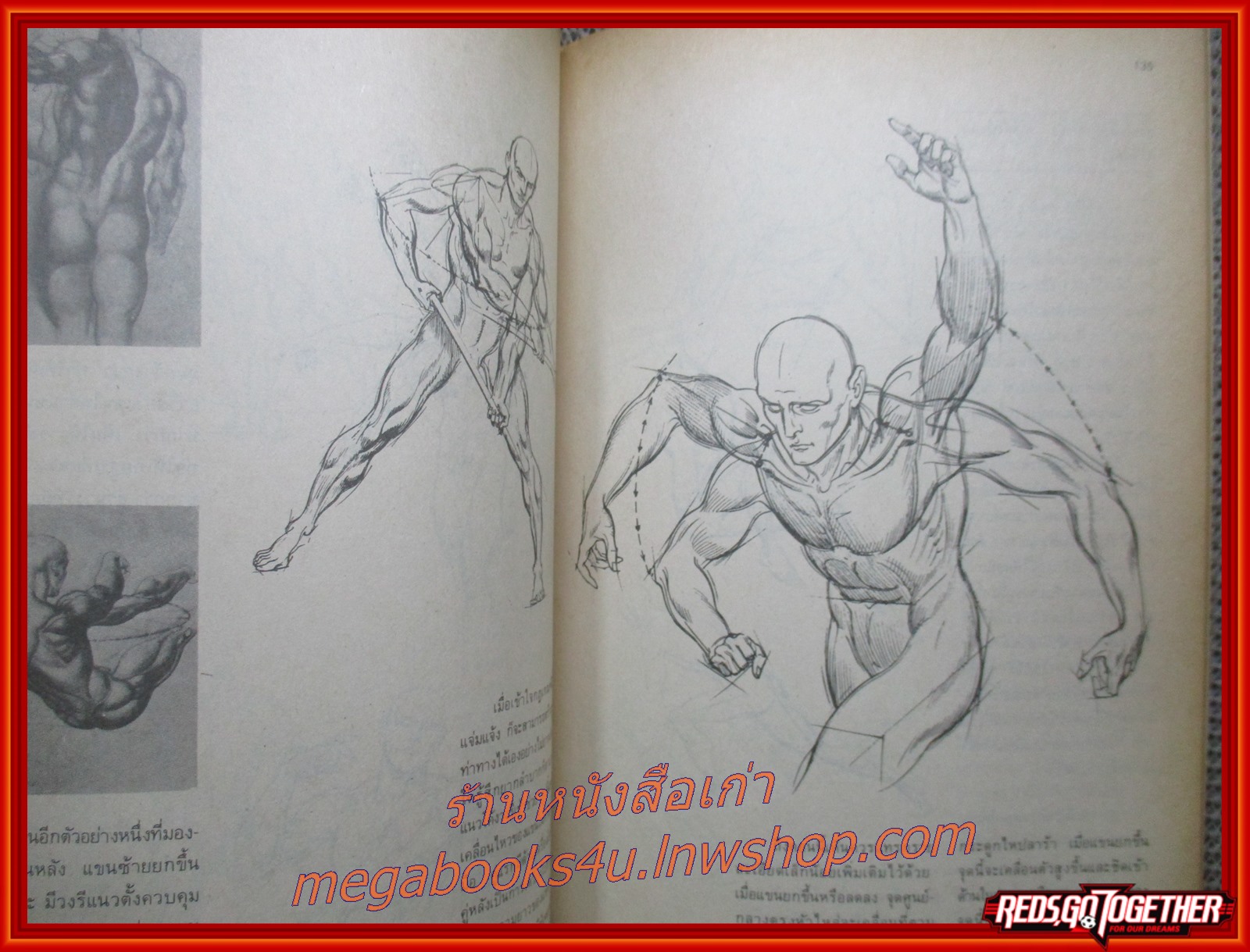 กายวิภาคปฏิบัติ โดย นิวิต หะนนท์