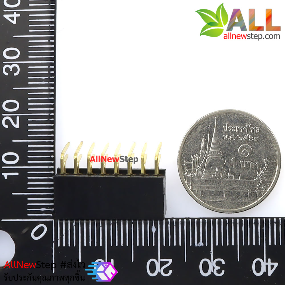 ขาก้างปลาตัวเมียแบบฉาก 2x8 ขา Double Row Hole Jack 2x8 PIN Header 2.54mm