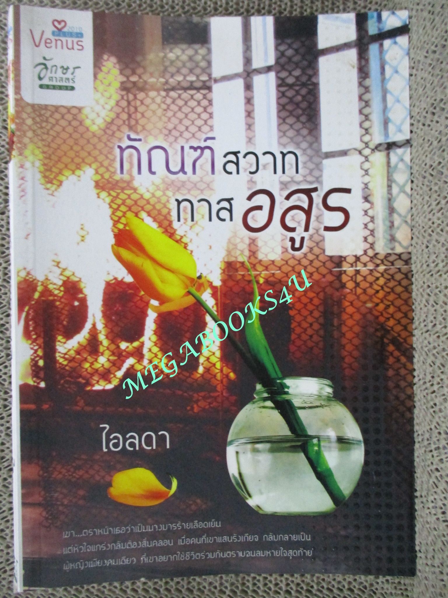 นิยาย ทัณฑ์สวาท ทาสอสูร / ไอลดา / วีนัส พลัส / (มือสอง) (สภาพ85-95%)