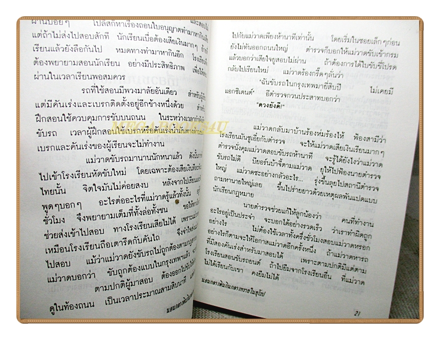 นอนกลางดินกินกลางทรายในยุโรป โดย จันทร์ แอนเดอร์สัน