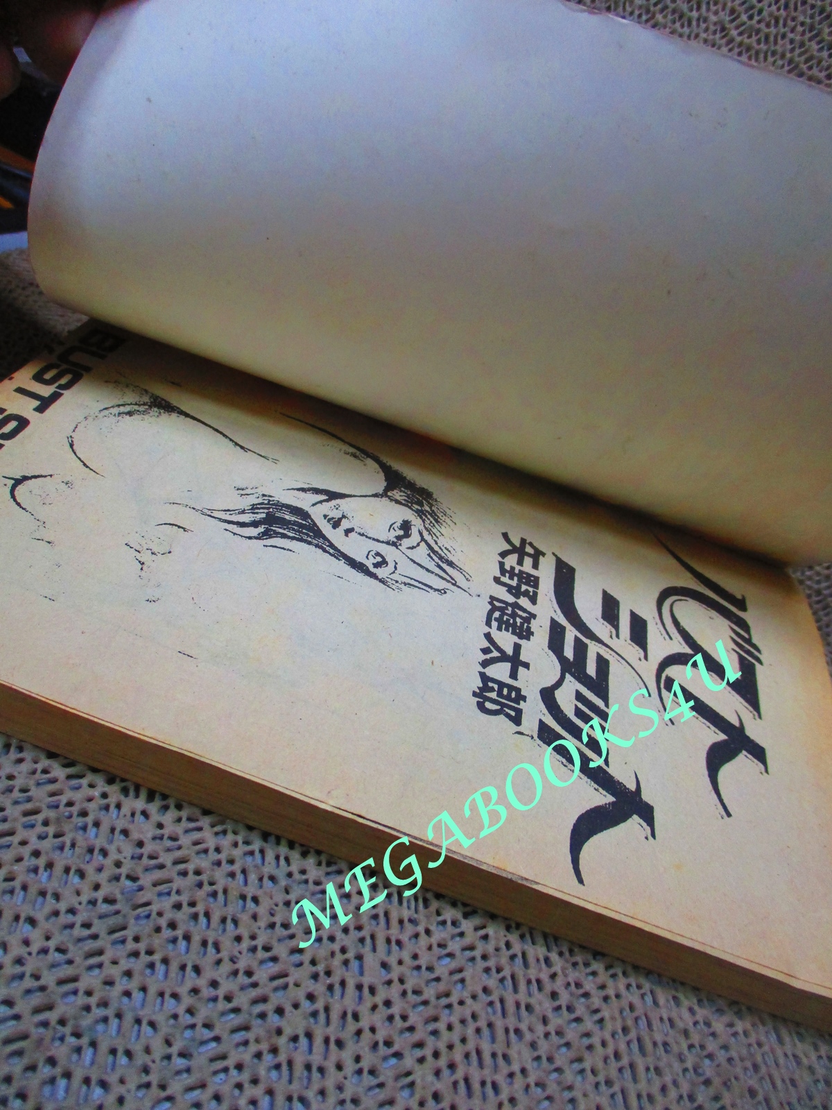 การ์ตูนบ้าน BUST SHOT เล่ม01 สนพ. EAK CATOON