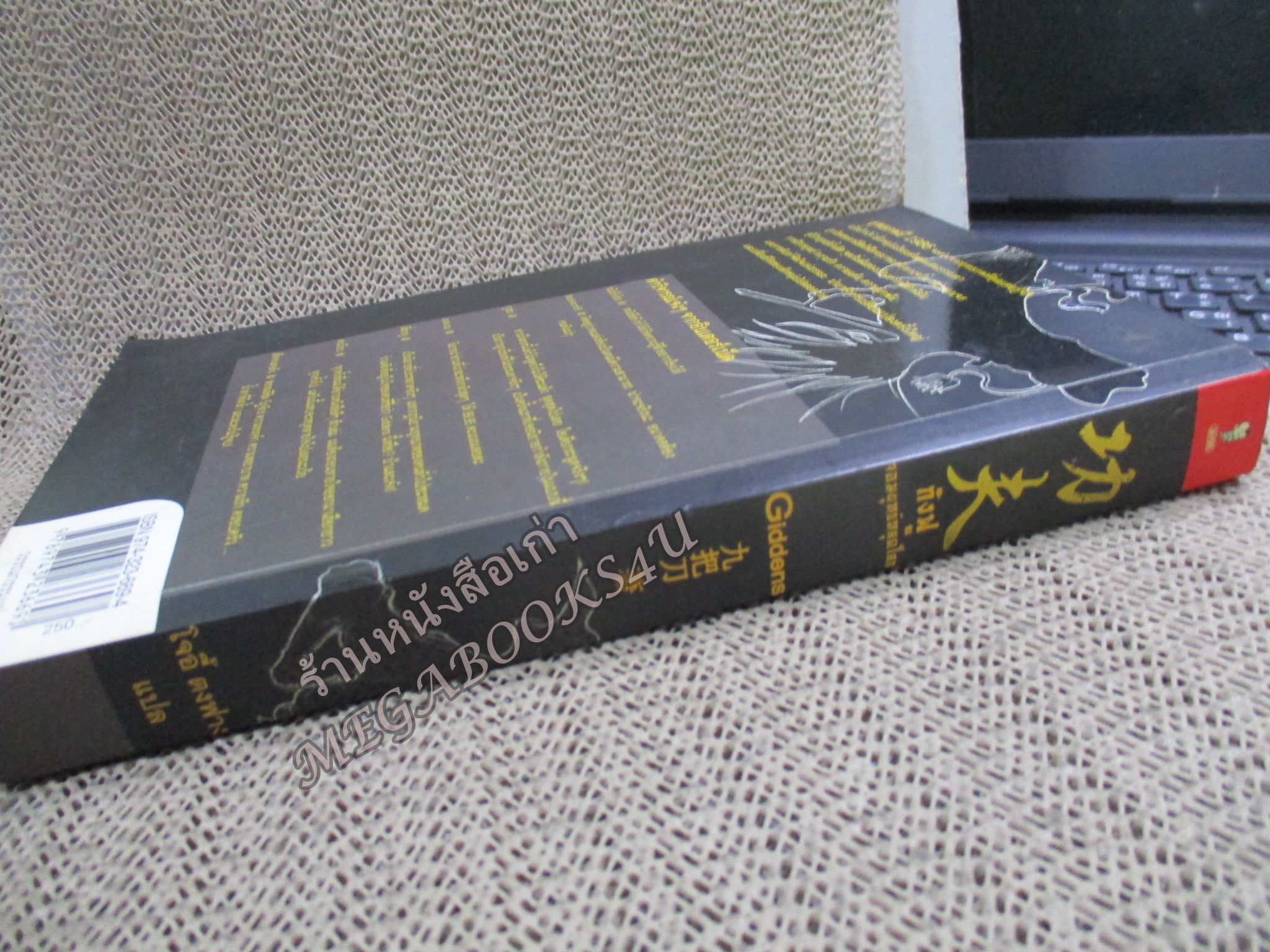 กังฟู จอมยุทธ์หลุดโลก /ของ Giddens. /โจอี้ ตงฟาง แปล./ สนพ.มติชน ตำหนิ มุมปกด้านล่างเยินมีรอยพับ เปื้อนฝุ่น