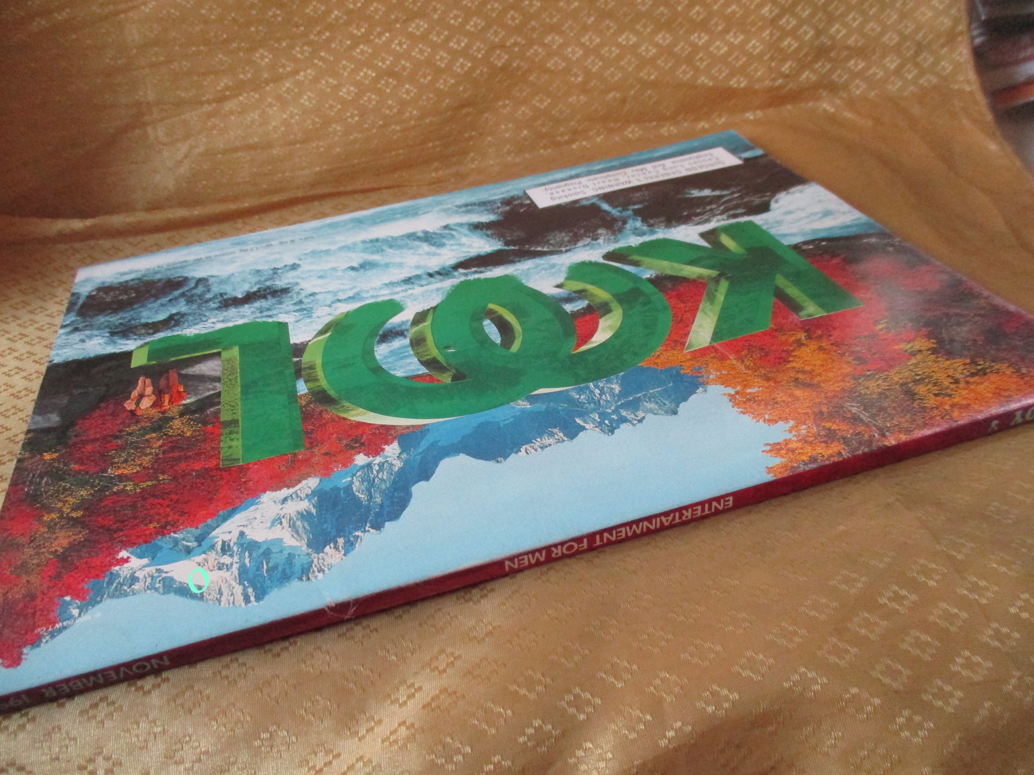 นิตยสารPLAYBOY USA ฉบับ NOV.1995