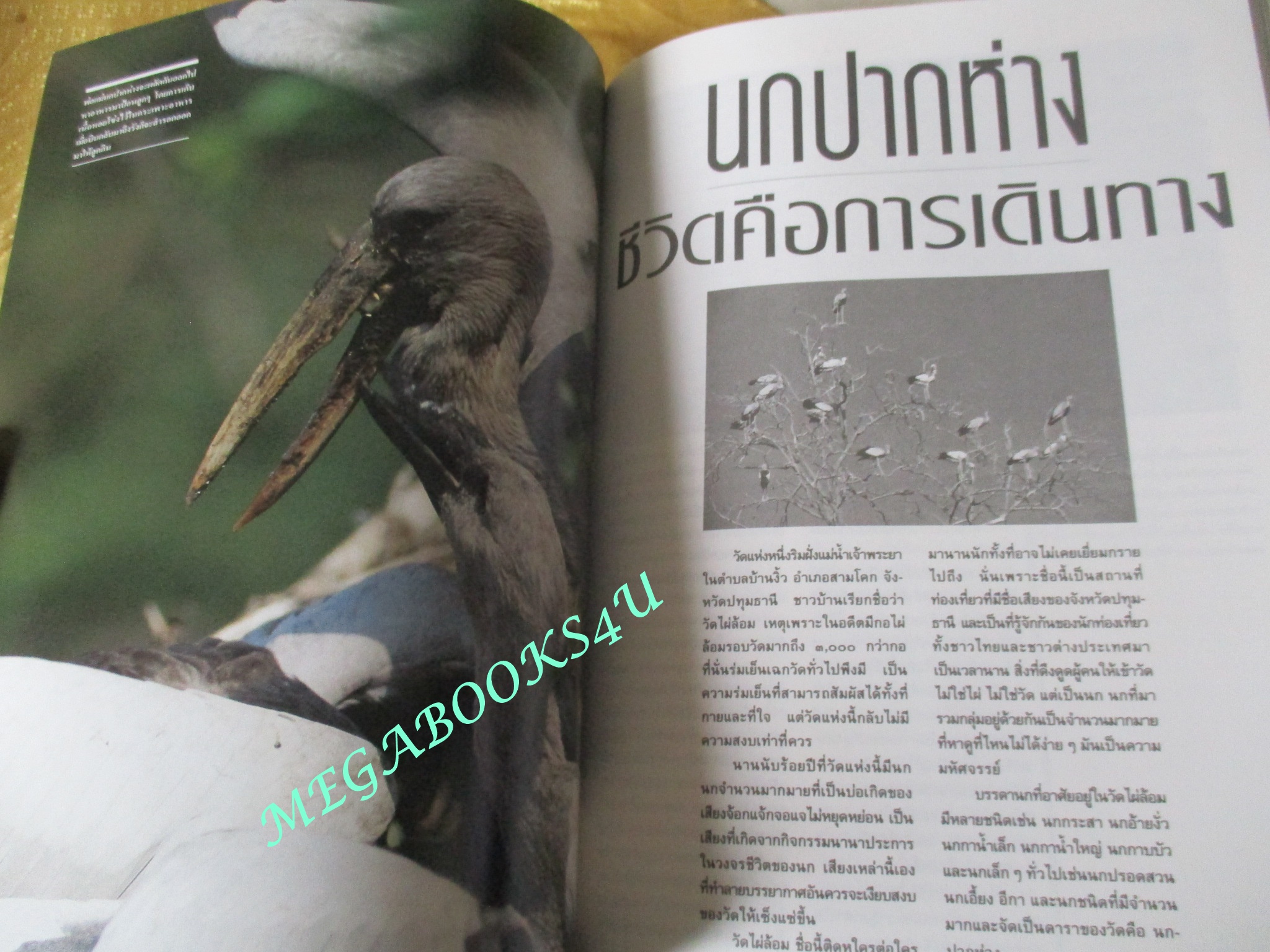 นิตยสารสารคดี ฉบับที่074 เมษายน 2534 สภาพดี คนชรา นกปากห่าง เขื่อนปากมูล ลพบุรี