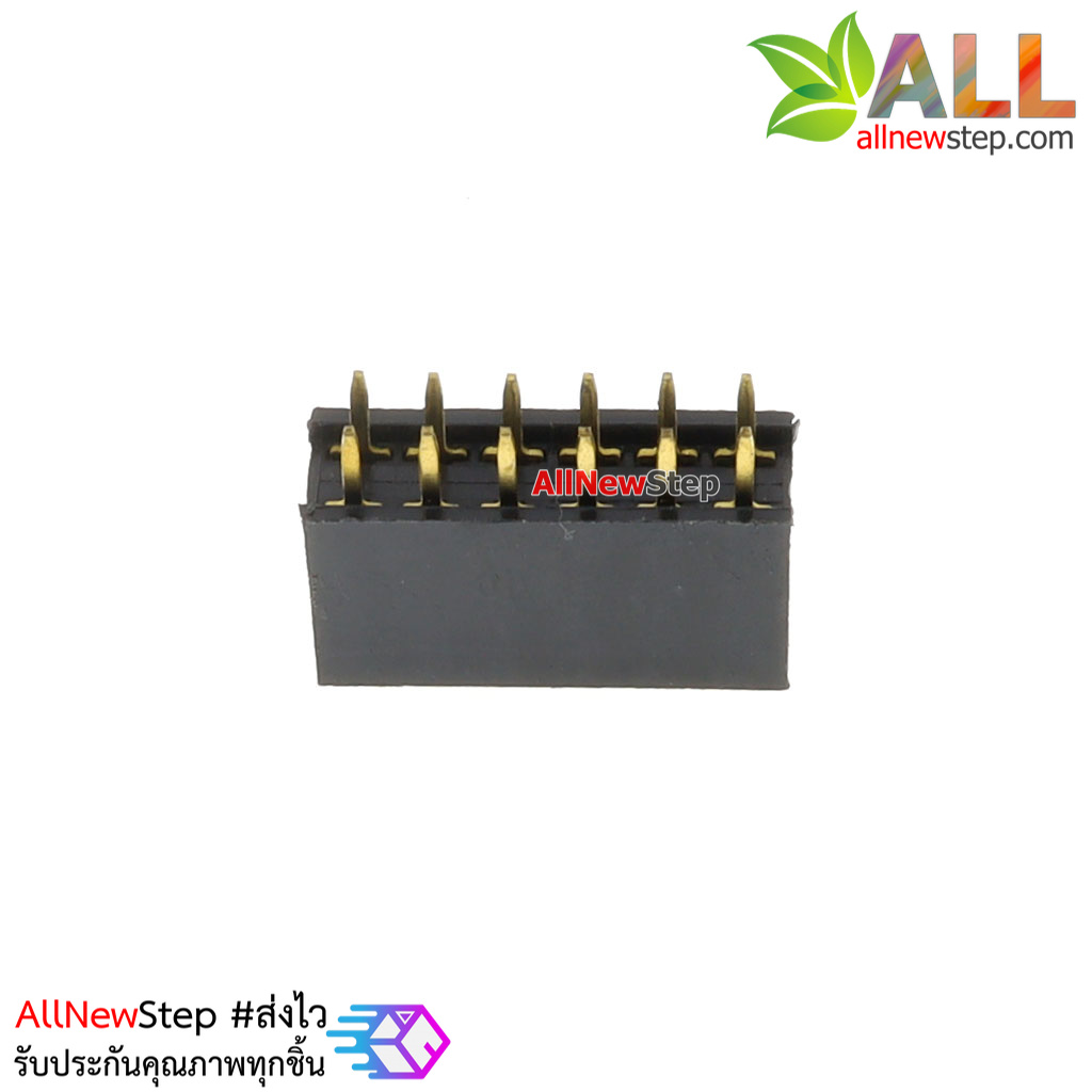 2.54mm pitch female double row female socket 2x6 pin