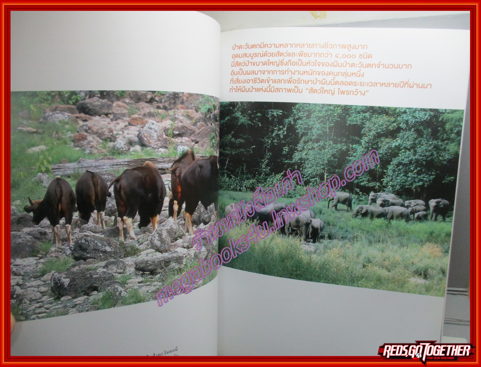 นิตยสารสารคดี ฉบับที่307 กันยายน 2553 20ปี สืบ นาคะเสถียร,เสกสรร ประเสริฐกุล,โรงเรียนธรรมชาติ ตำหนิ ปกหลังมีรอยถลอก