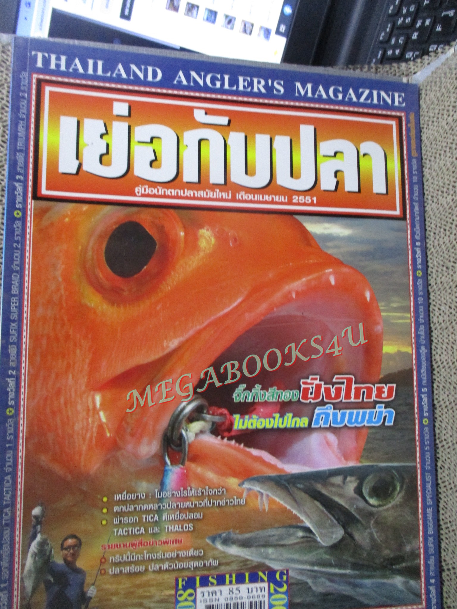 นิตยสาร เย่อกับปลา ฉบับที่123 ปี2551 จิ๊งกิ้งสีทอง