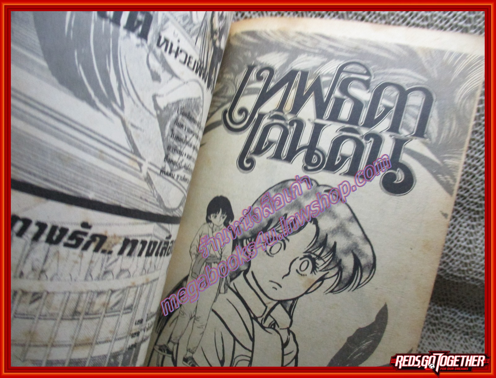 การ์ตูนบ้าน เทพธิดาเดินดิน เล่ม05 (*เล่มจบ)