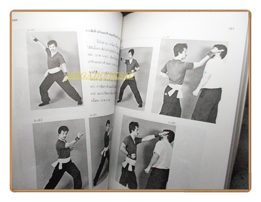 หนังสือ กังฟู ศิลปะในการต่อสู้และป้องกันตัว โดย สุนทร กายประจักษ์