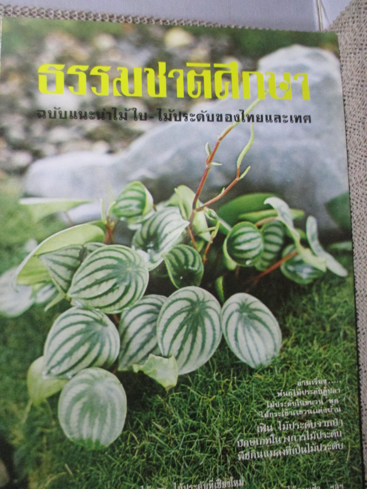 ธรรมชาติศึกษาเล่มที่ 1-6 รวม6เล่ม