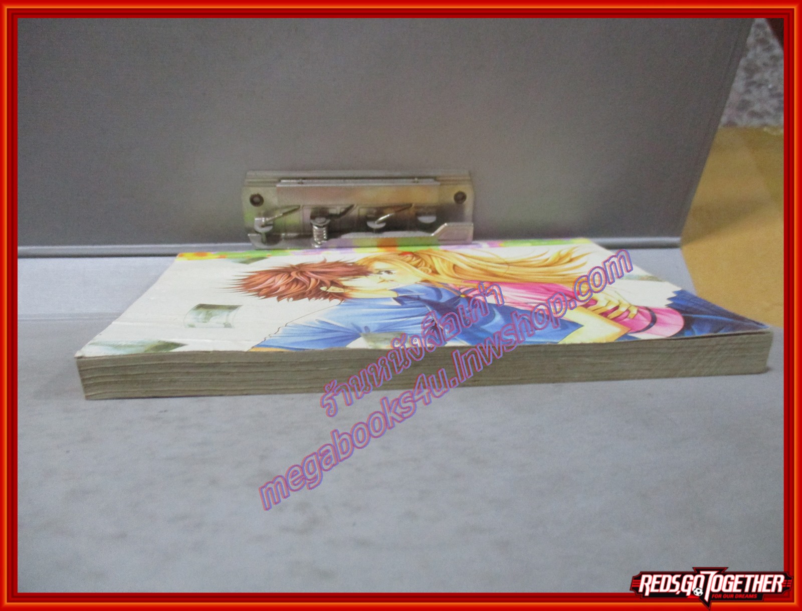 การ์ตูนบ้าน LOVE LOVE เลิฟ เลิฟ 17 เล่มเดียวจบ สนพ.หมึกจีน