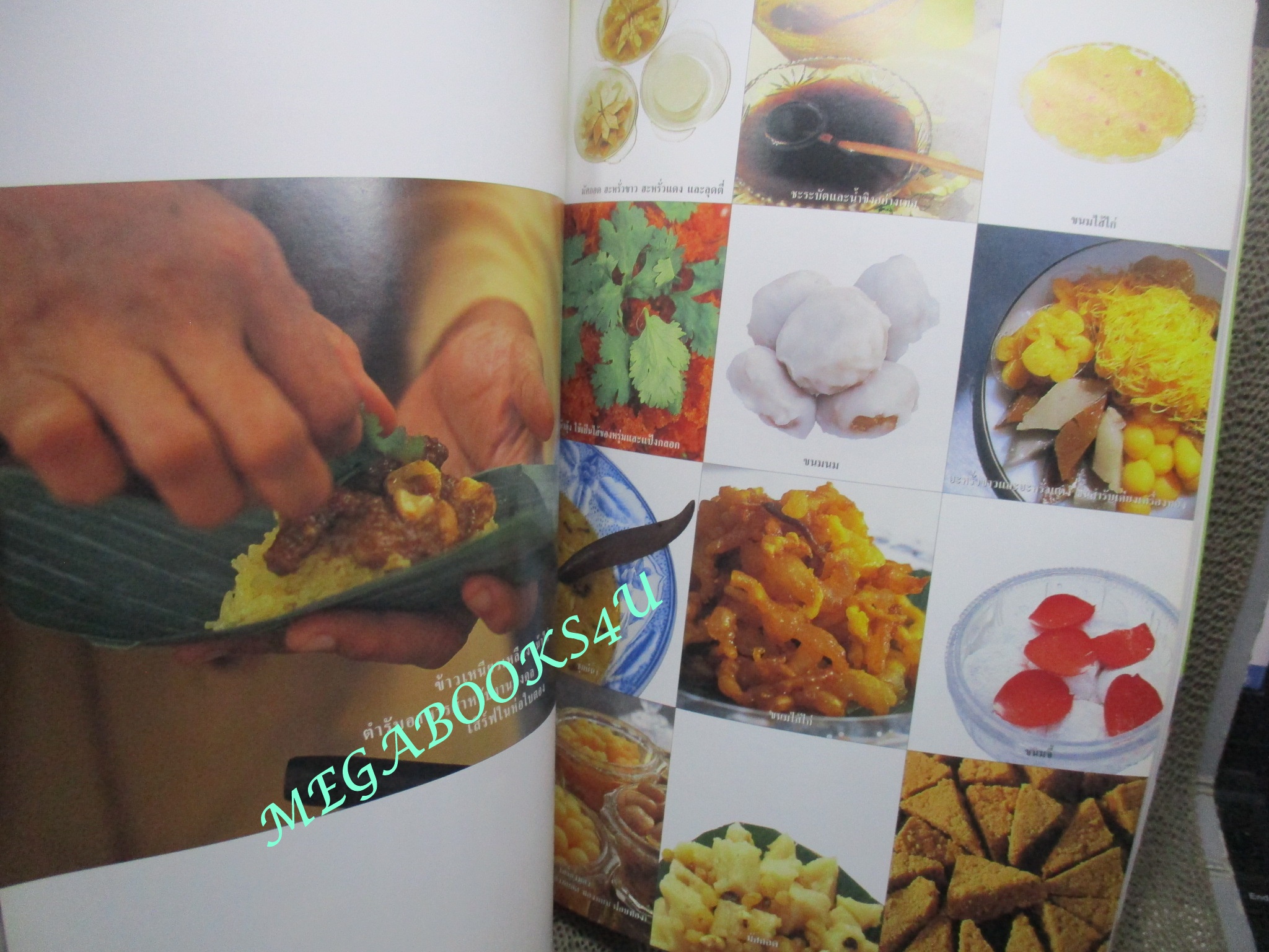 นิตยสารสารคดี ฉบับที่194 เมษายน 2544 เฟิน,ชนกว่าง,สำรับแขกคลองบางหลวง