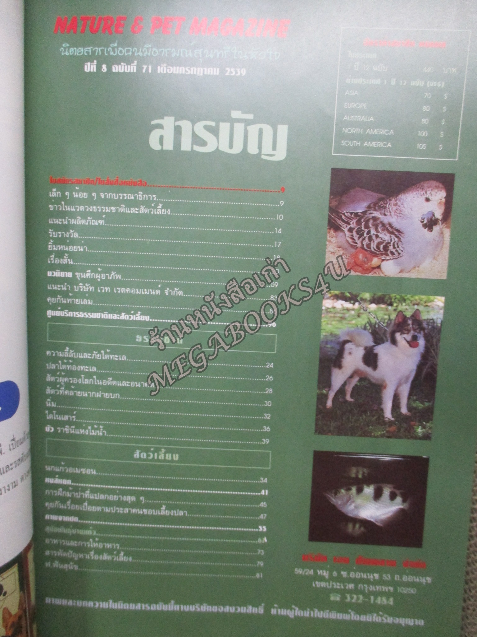 นิตยสาร ธรรมชาติและสัตว์เลี้ยง ฉบับที่071 ปี2539 ปก สุนัขบางแก้ว