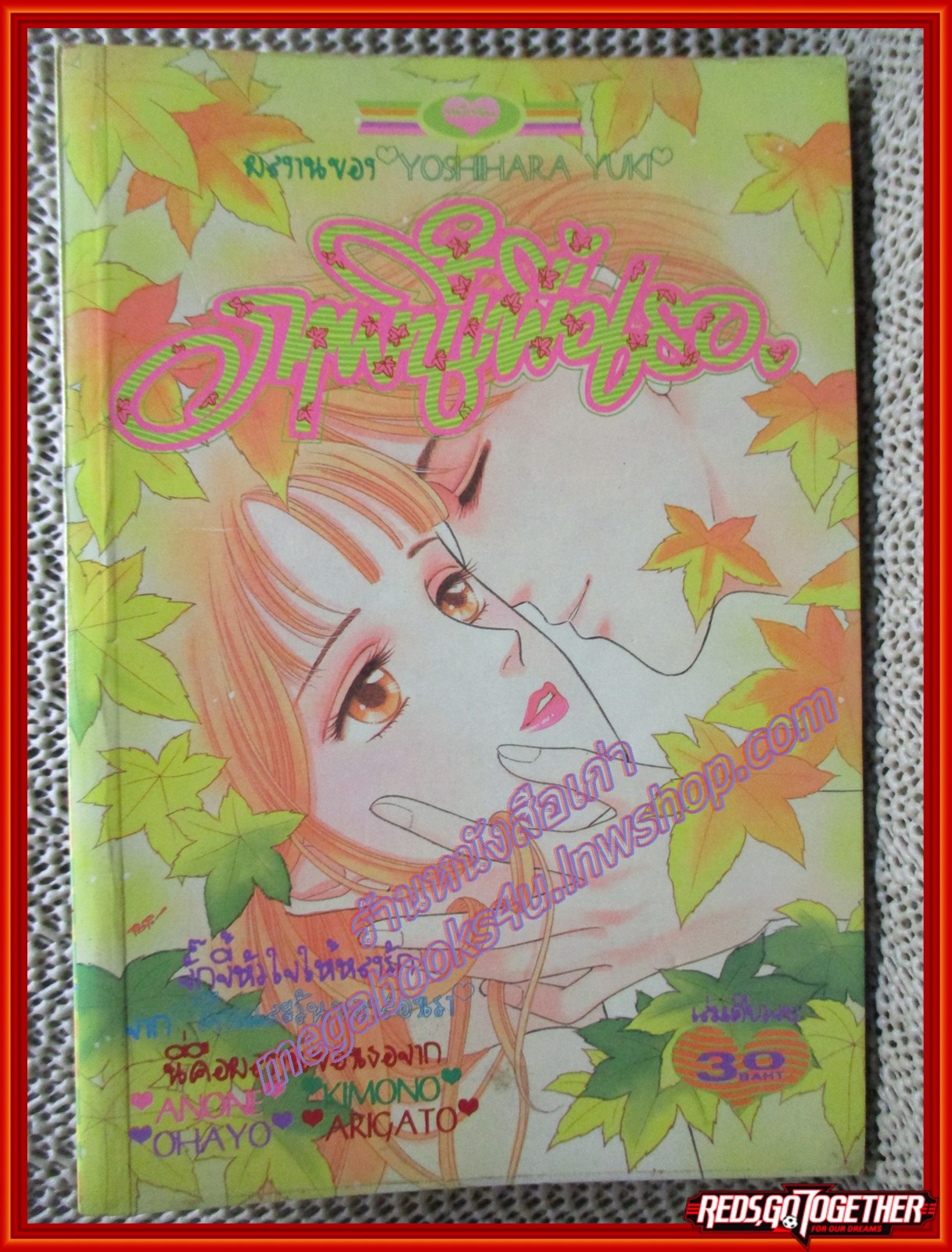 การ์ตูนบ้าน ภาพนี้เพื่อเธอ เล่มเดียวจบ สนพ.หมึกจีน