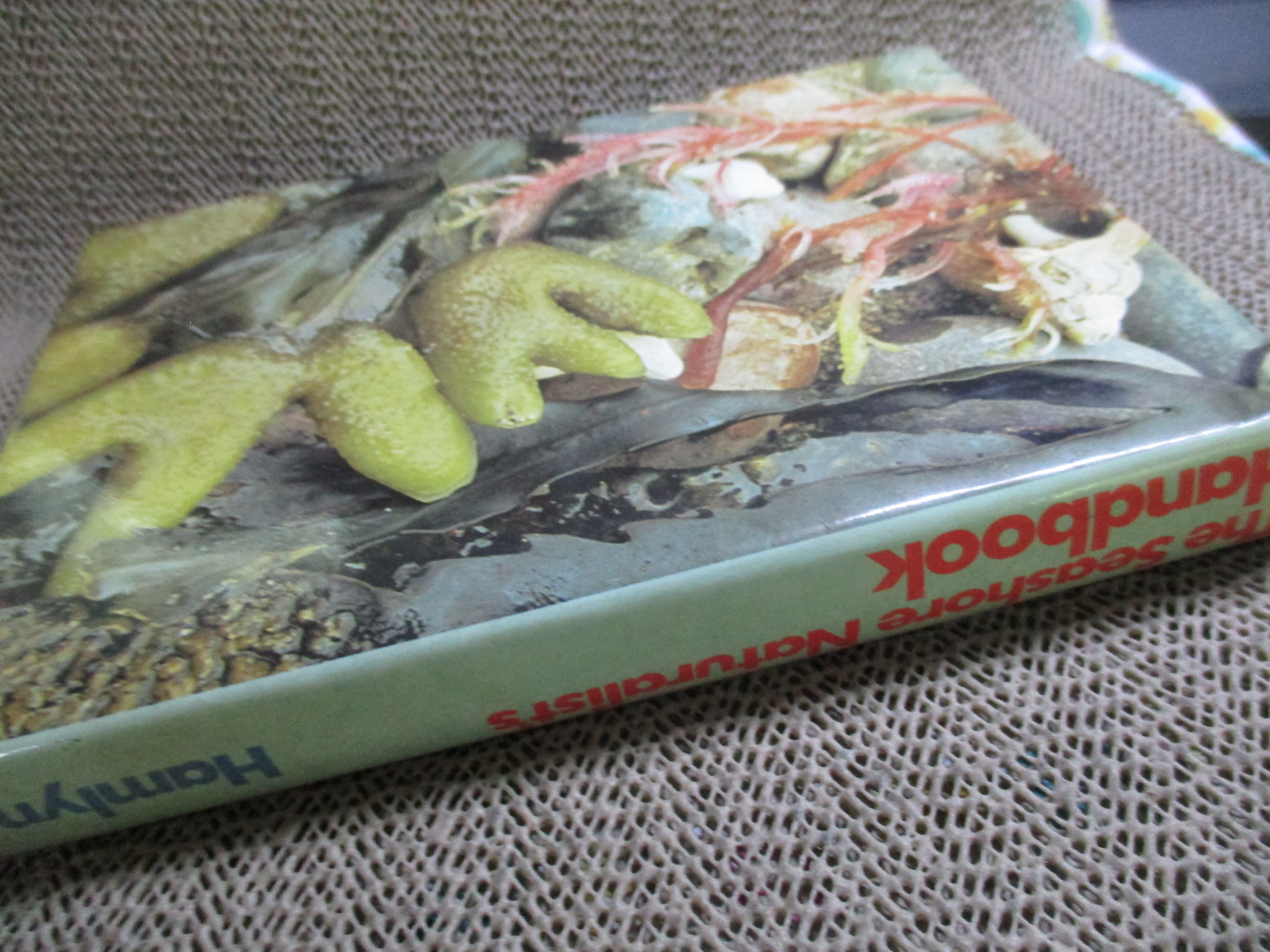 The Seashore Naturalists' Handbook By Leslie Jackman (Hardcover) / HAMLYN