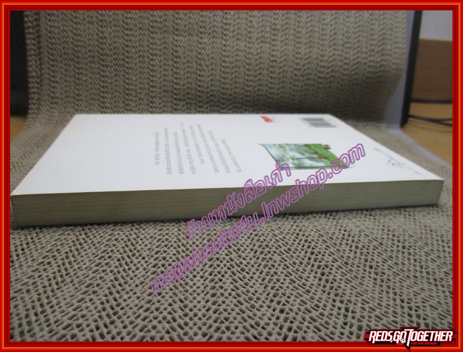 นิยายบ้าน ทุ่งหญ้า ป่าสน และคนเหงา/สิรินดา/แจ่มใส (มือสอง) (สภาพ85-95%)