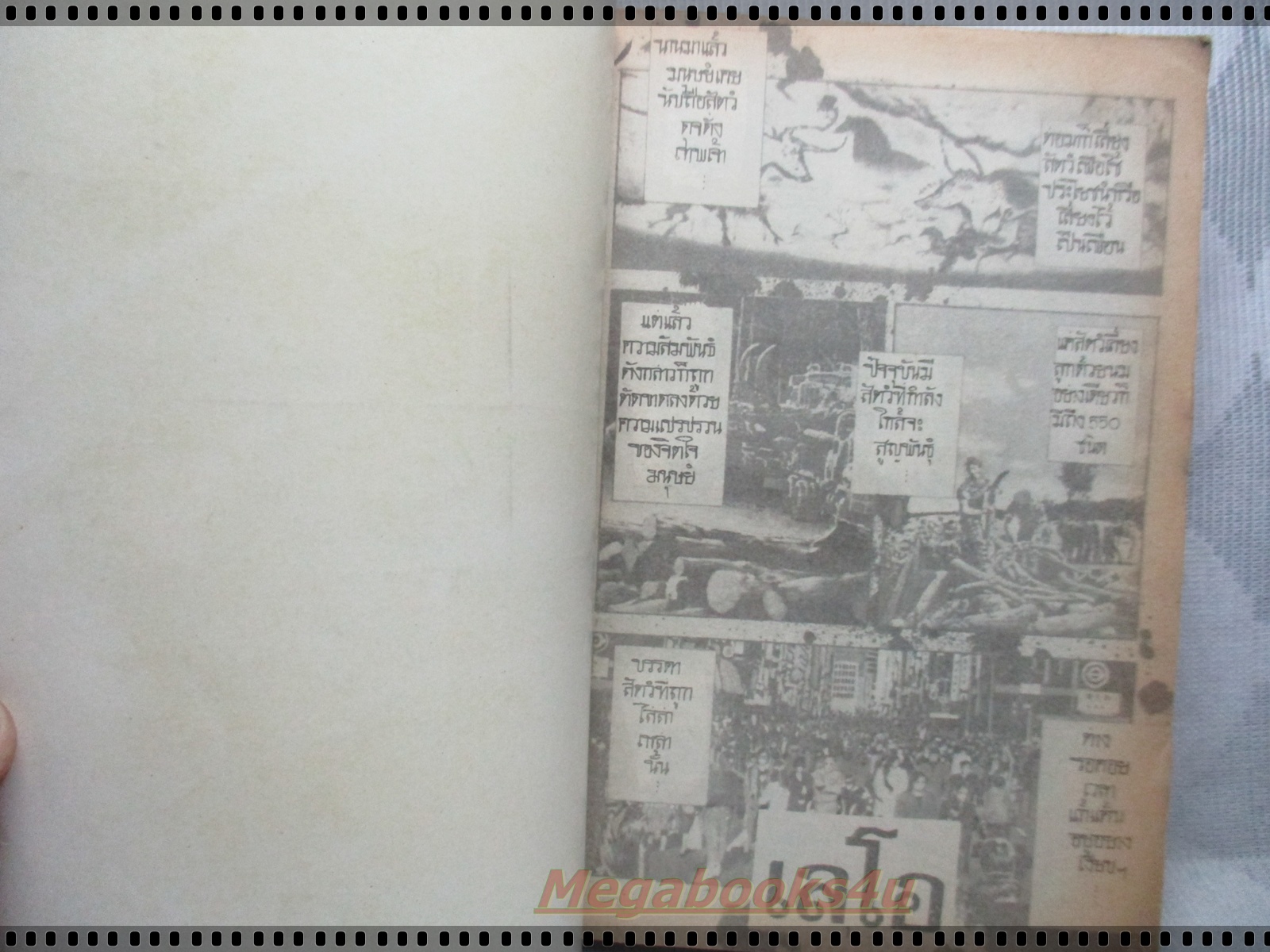 การ์ตูนเก่าเลโอ เล่มเดียวจบ