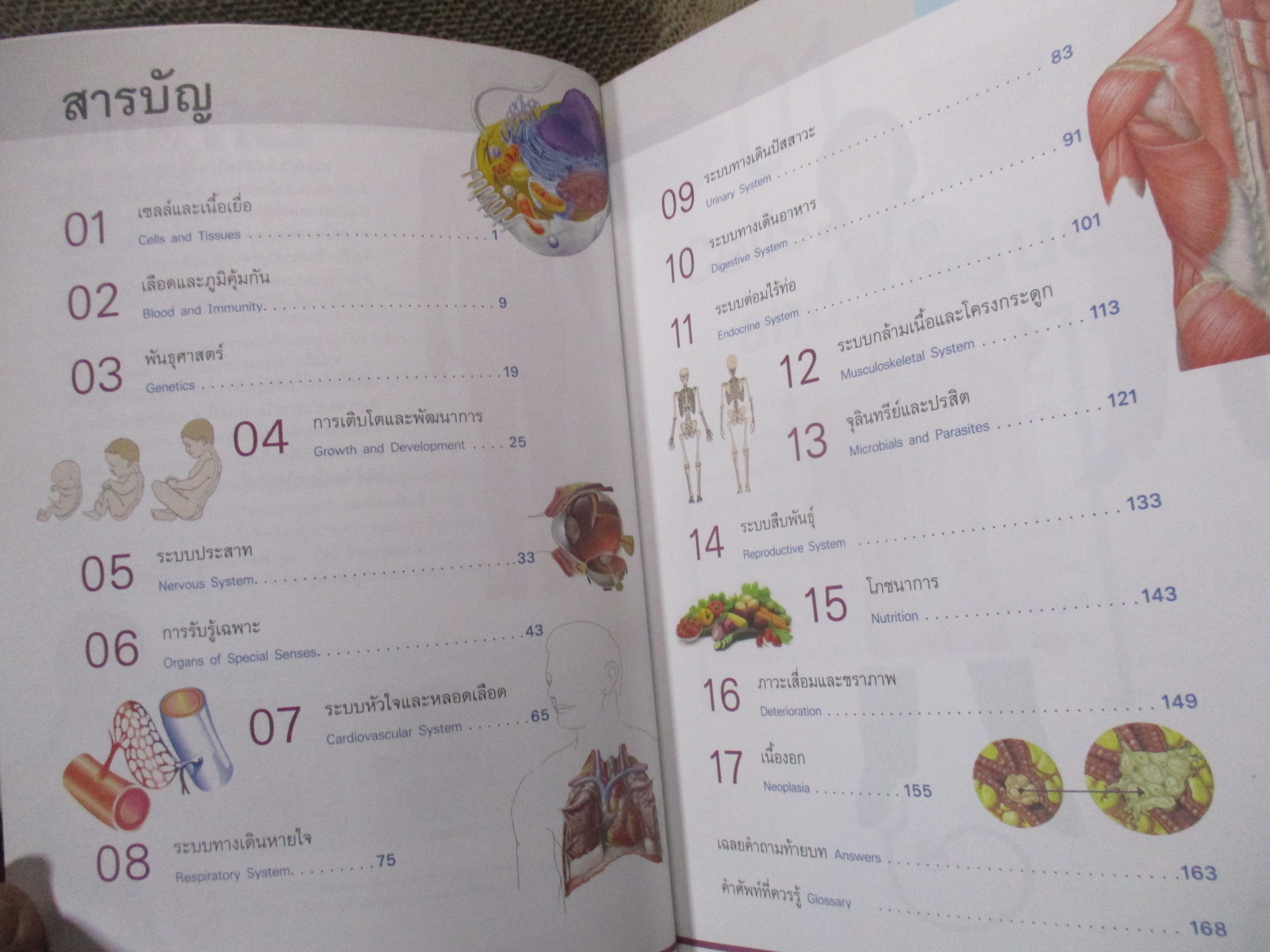 ระบบร่างกายมนุษย์ ฉบับปรับปรุง / ผศ. ดร.อรกัญญ์ ภูมิโคกรักษ์ / มุมปกช้ำหน่อย