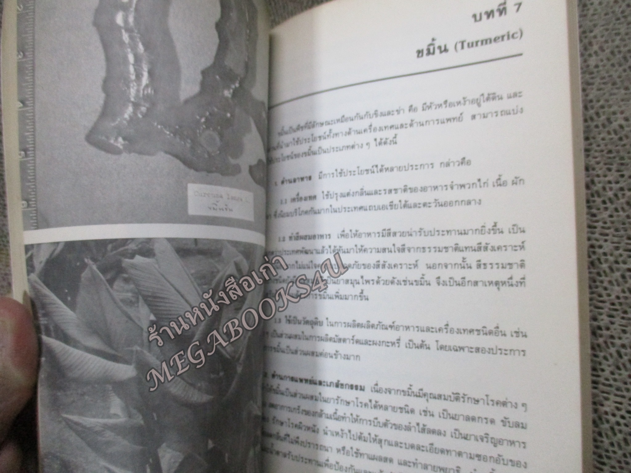 เครื่องเทศ โดย ธนาคารกสิกรไทย / สภาพปานกลาง ปกเก่า มีคราบฝุ่น คราบน้ำบางๆ