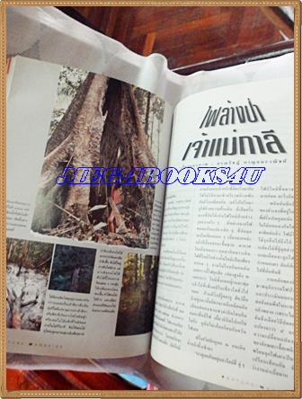 นิตยสารสารคดี ฉบับที่108 ปีที่09 กุมภาพันธ์ 2537 ไฟป่า เจ้าแม่กาลีแห่งพงไพร,มุสลิม ปันหยี,ต้นตาล,สกลนคร