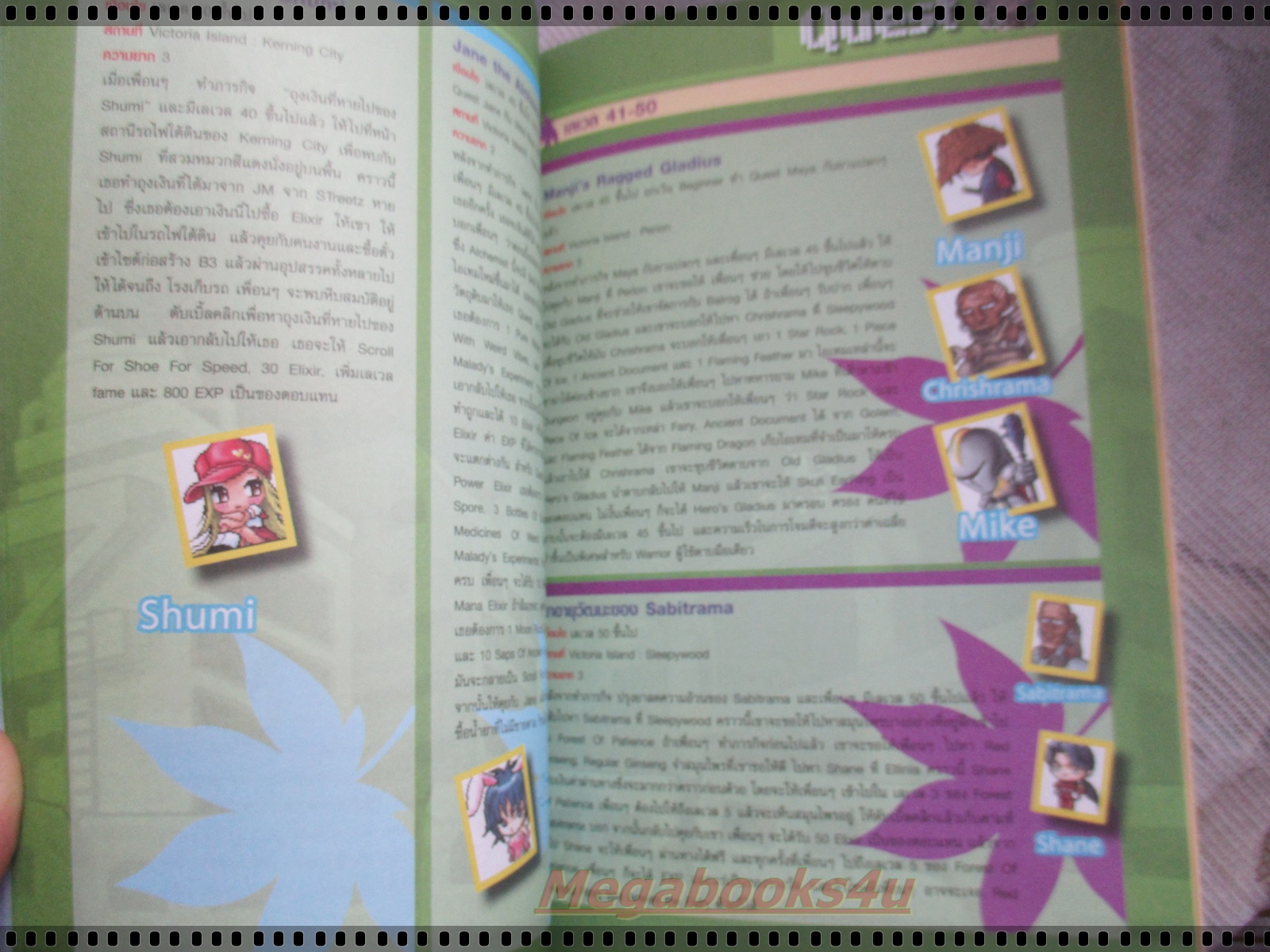 คู่มือเฉลยเกมส์ MAPLE STORY