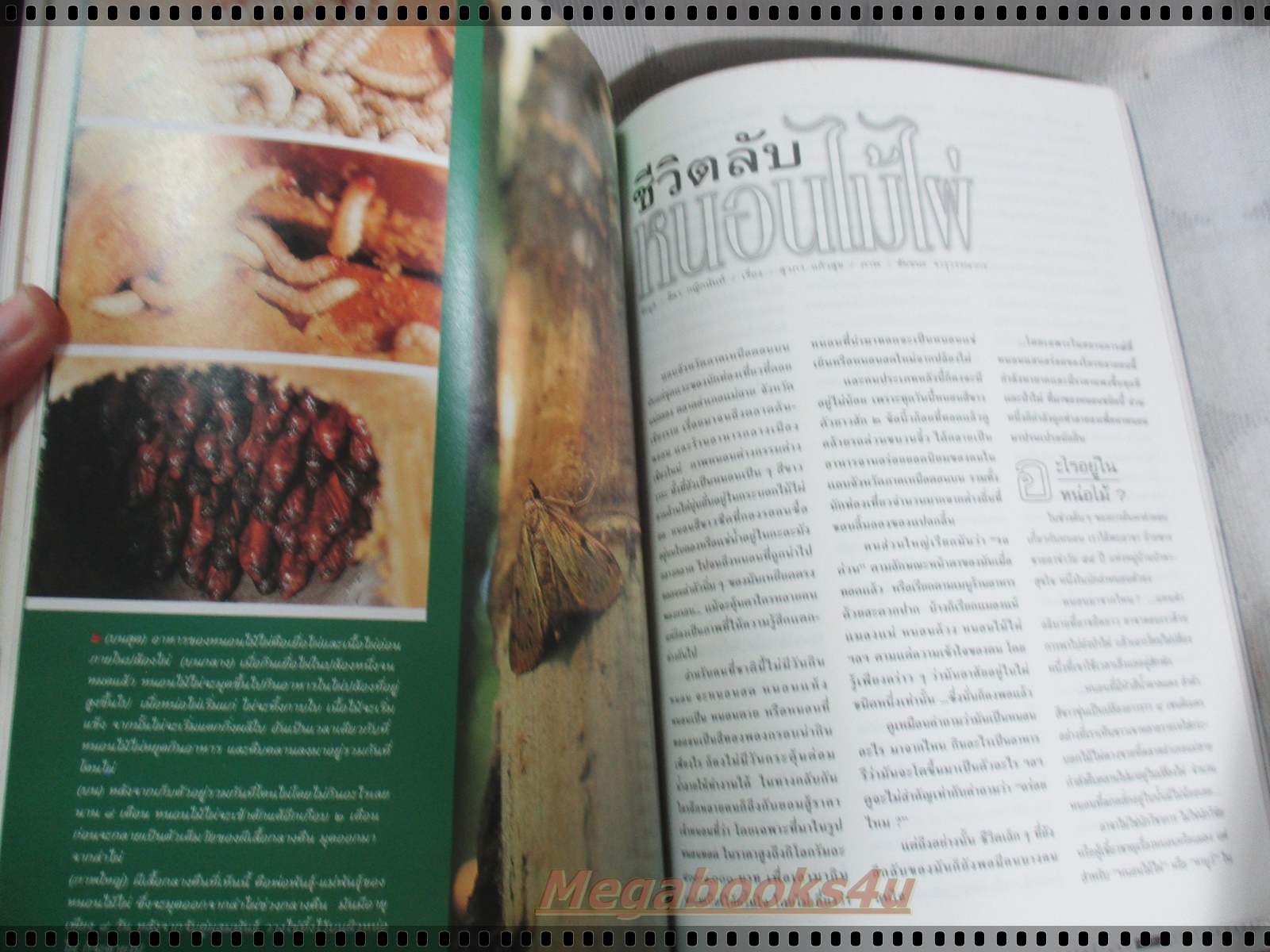 นิตยสารสารคดี ฉบับที่145 มีนาคม 2540 100ปีรถไฟไทย,หนอนไม้ไผ่,มาดากัสการ์,เที่ยวแก่งกระจาน