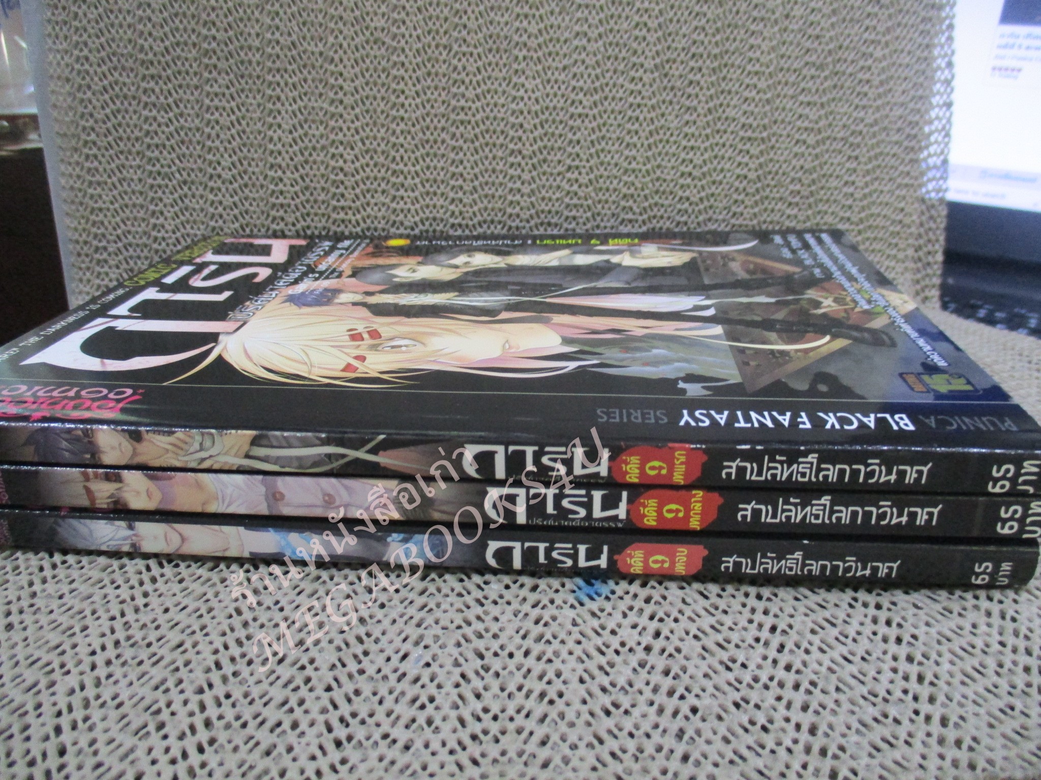 การ์ตูน การิน ปริศนาคดีอาถรรพ์ ภาค คดีที่ 9 สาปลัทธิโลกาวินาศ (ภาคแรก+ภาคกลาง+ภาคจบ รวม3เล่ม) / อัยย์ / Punica /