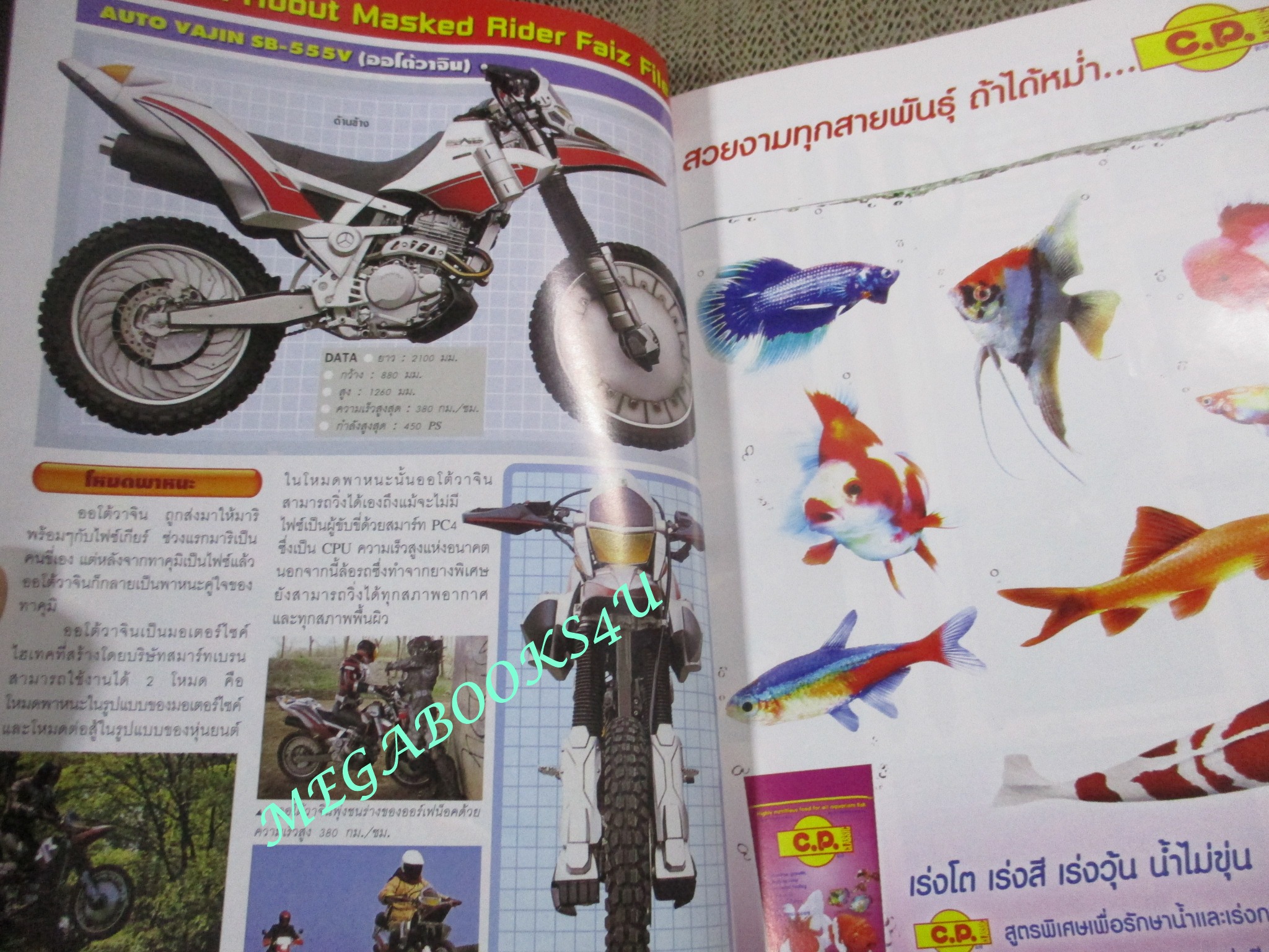 ทีวีแมกกาซีน ฉบับที่161/2548 FULLMETAL ALCHEMIST