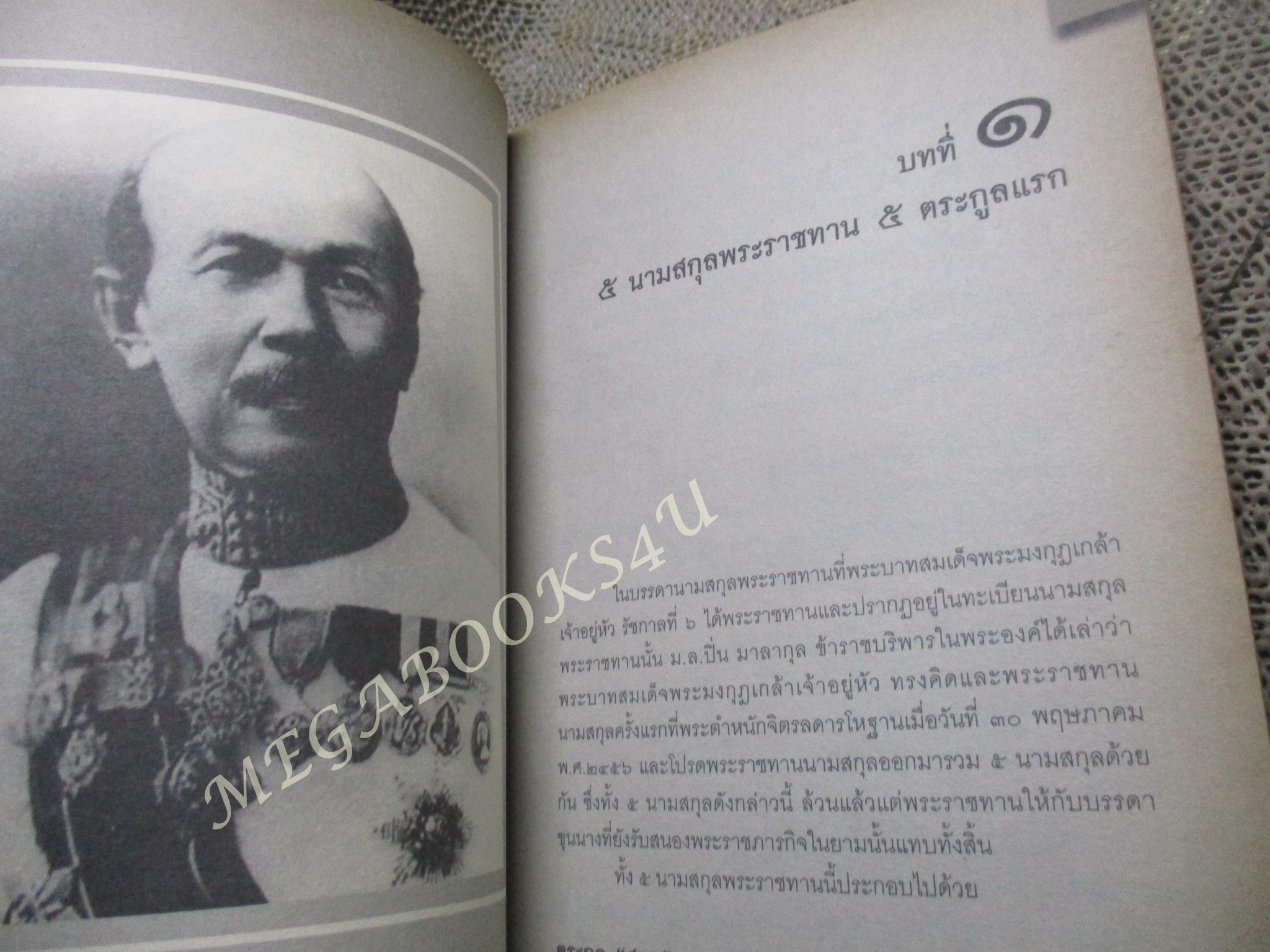 ต้นตระกูลเจ้าเมือง สายสกุล ณ ในสยาม ผู้เขียน: กัลยา เกื้อตระกูล / มีจุดเหลืองประปราย