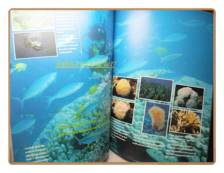 นิตยสารสารคดี ฉบับที่063 ปีที่06 2533 แนวปะการัง เรือไดหมึก ครูสังคม ทองมี เพชรบุรี สภาพดี