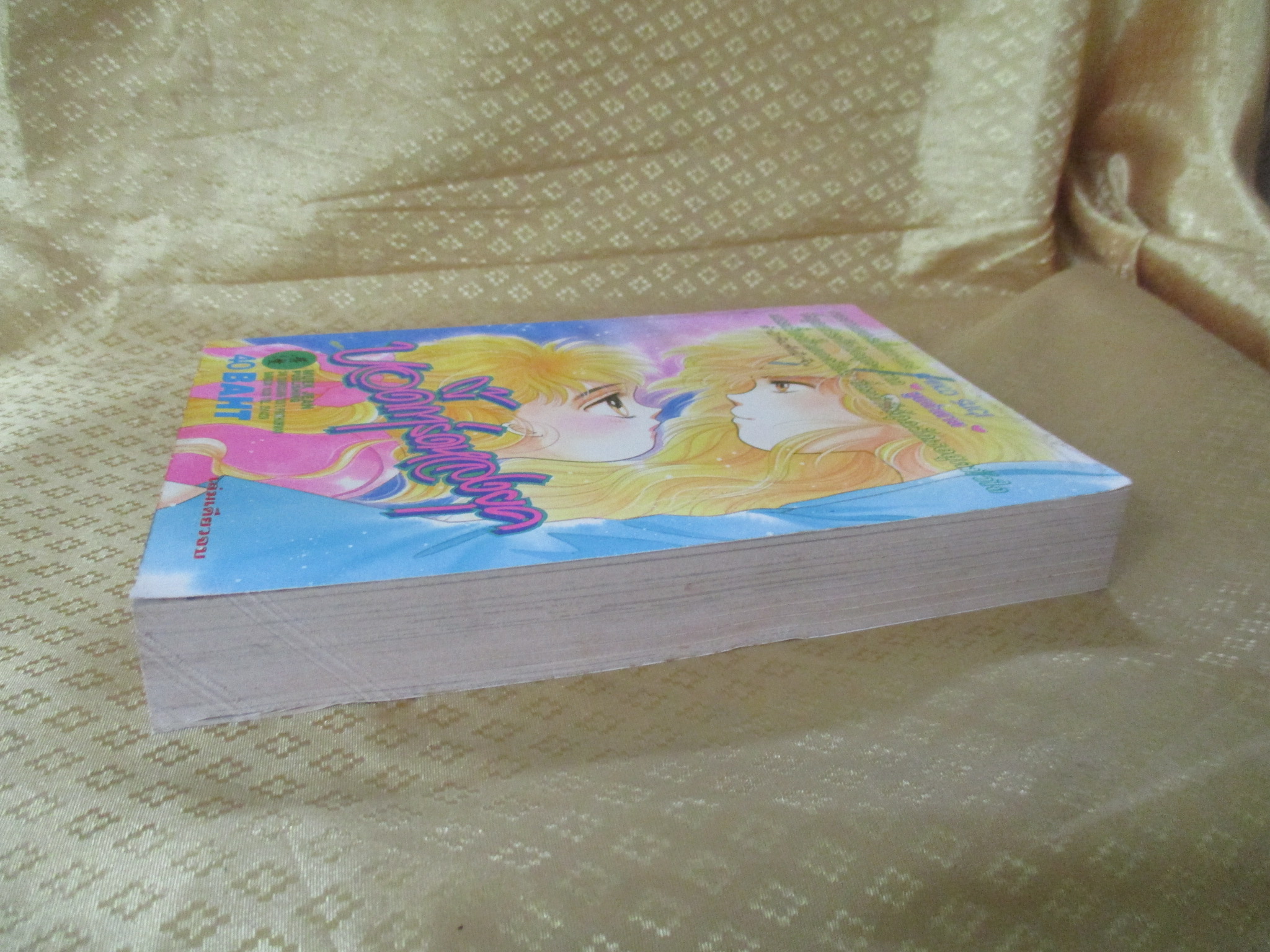 การ์ตูนบ้าน บอดี้การ์ดหลงยุค โดย EMIKO SUGI เล่มเดียวจบ สนพ.หมึกจีน