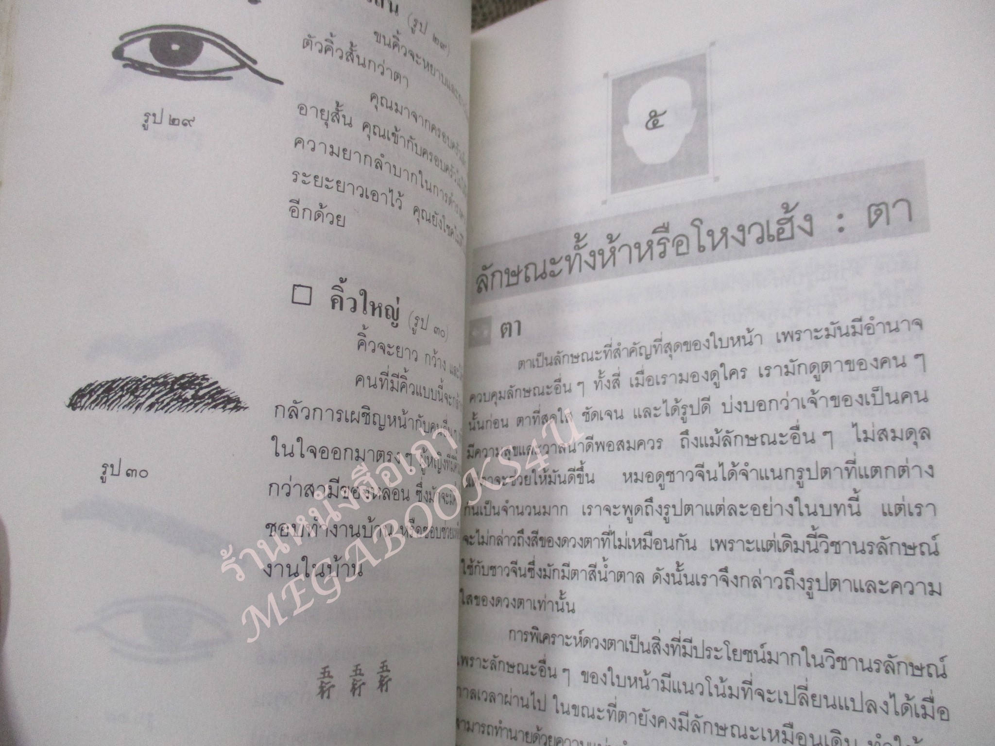 หนังสือ โหงวเฮ้ง วิชานรลักษณ์ ศาสตร์แห่งการทำนายบุคลิกลักษณะ (Lines of Destiny) อำนวยชัย ปฏิพัทธ์เผ่าพงศ์ / กระดาษมีจุดประปราย ปกมีรอยพับ