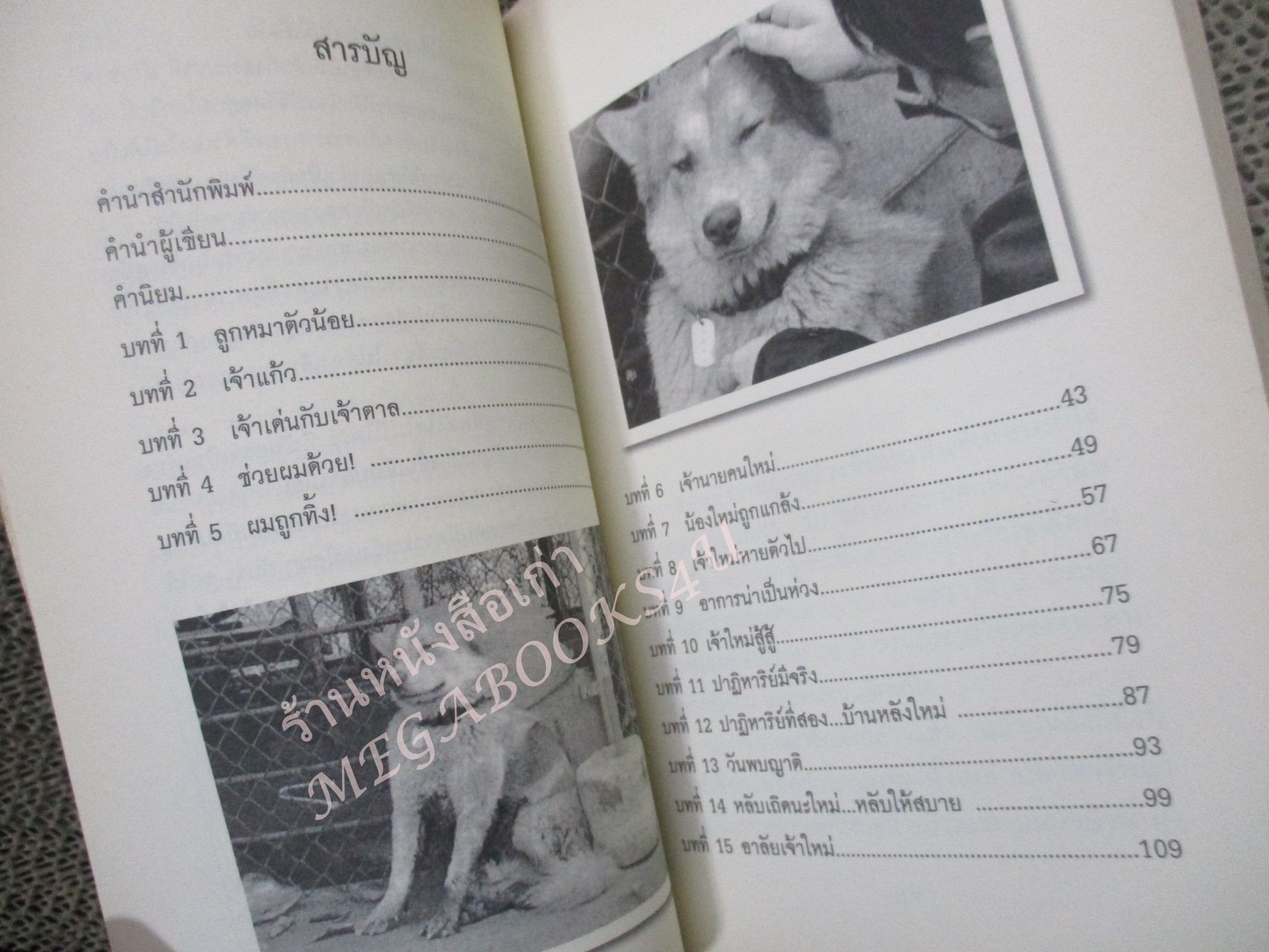 เจ้าใหม่ บางแก้วผู้อาภัพ ผู้เขียน กาเซโบ ภาพประกอบ ชมพูนุท ศรีพินิจ / หนังสือบ้าน สภาพดี กระดาษมีจุดเหลืองประปราย