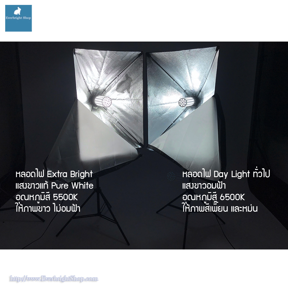 Extra Bright LED Bulb 5500K 45w