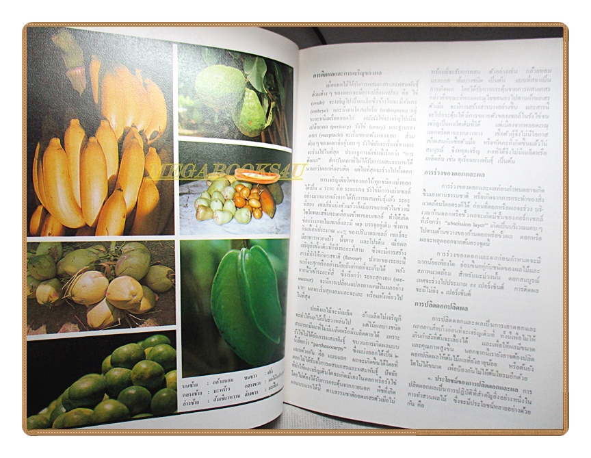 สารานุกรมไทยสำหรับเยาวชน เล่ม05 โดยพระราชประสงค์ในพระบาทสมเด็จพระเจ้าอยู่หัว