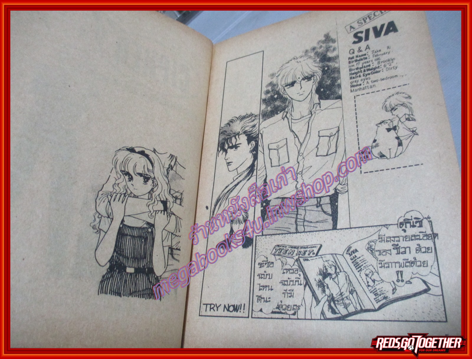 การ์ตูนบ้าน CIPHER ไซเฟอร์ เล่ม02 โดย MINAKO NARITA วิบูลย์กิจ สภาพดี