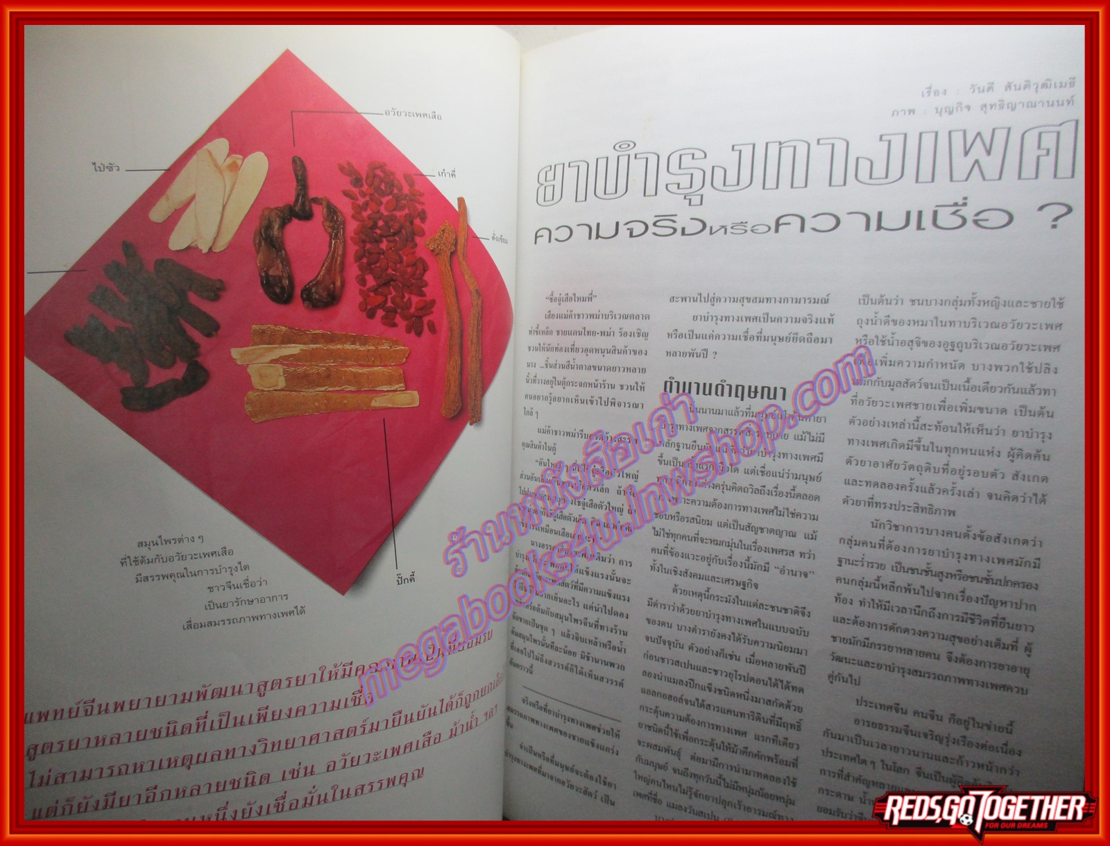 นิตยสารสารคดี ฉบับที่158 ปี2541 ยาบำรุงทางเพศ ควาญกับช้าง