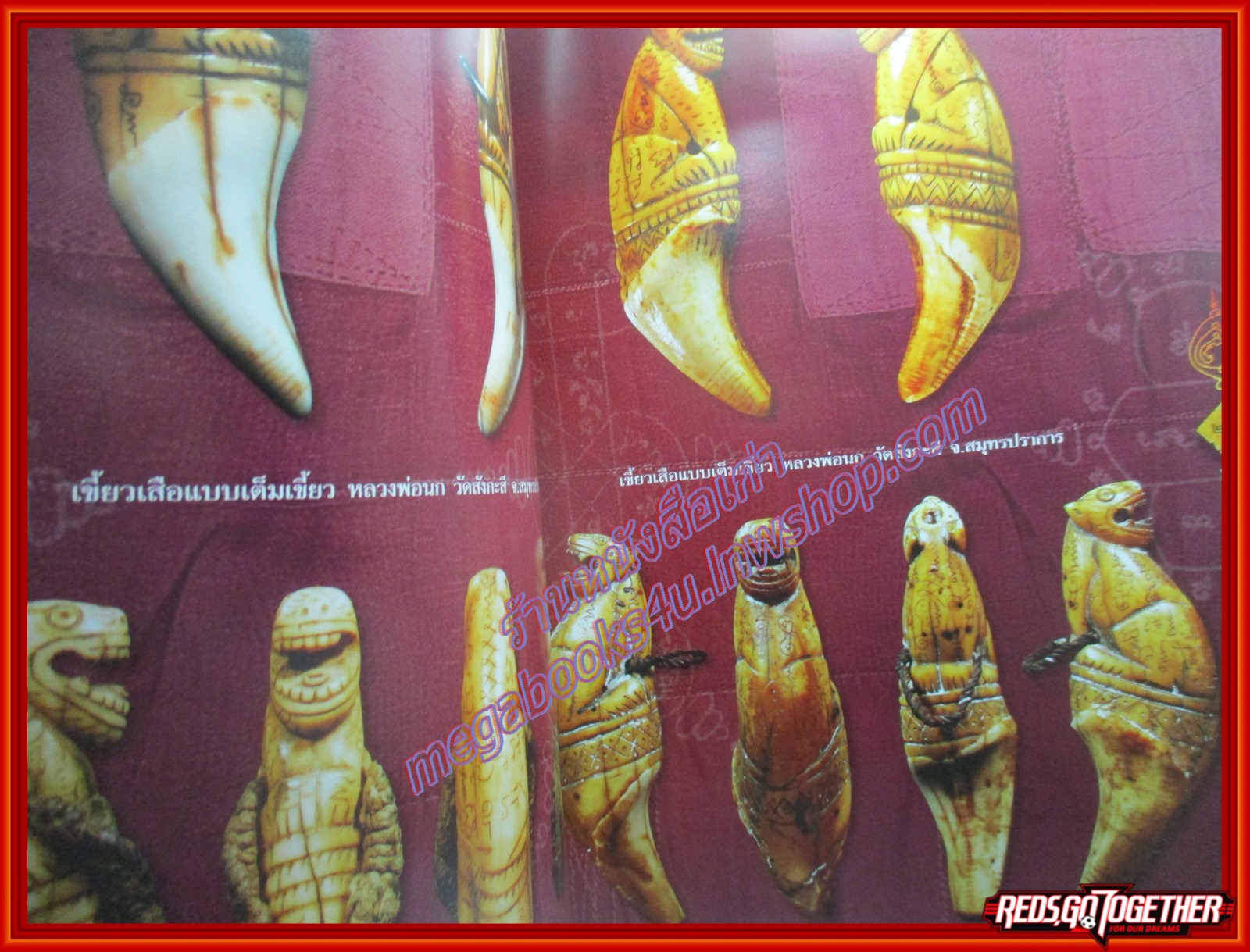 นิตยสารพระ สุดยอดเครื่องรางของขลัง 5 ชนิด เขี้ยว เขา งา กะลา ไม้ โดย ชัชเวทย์